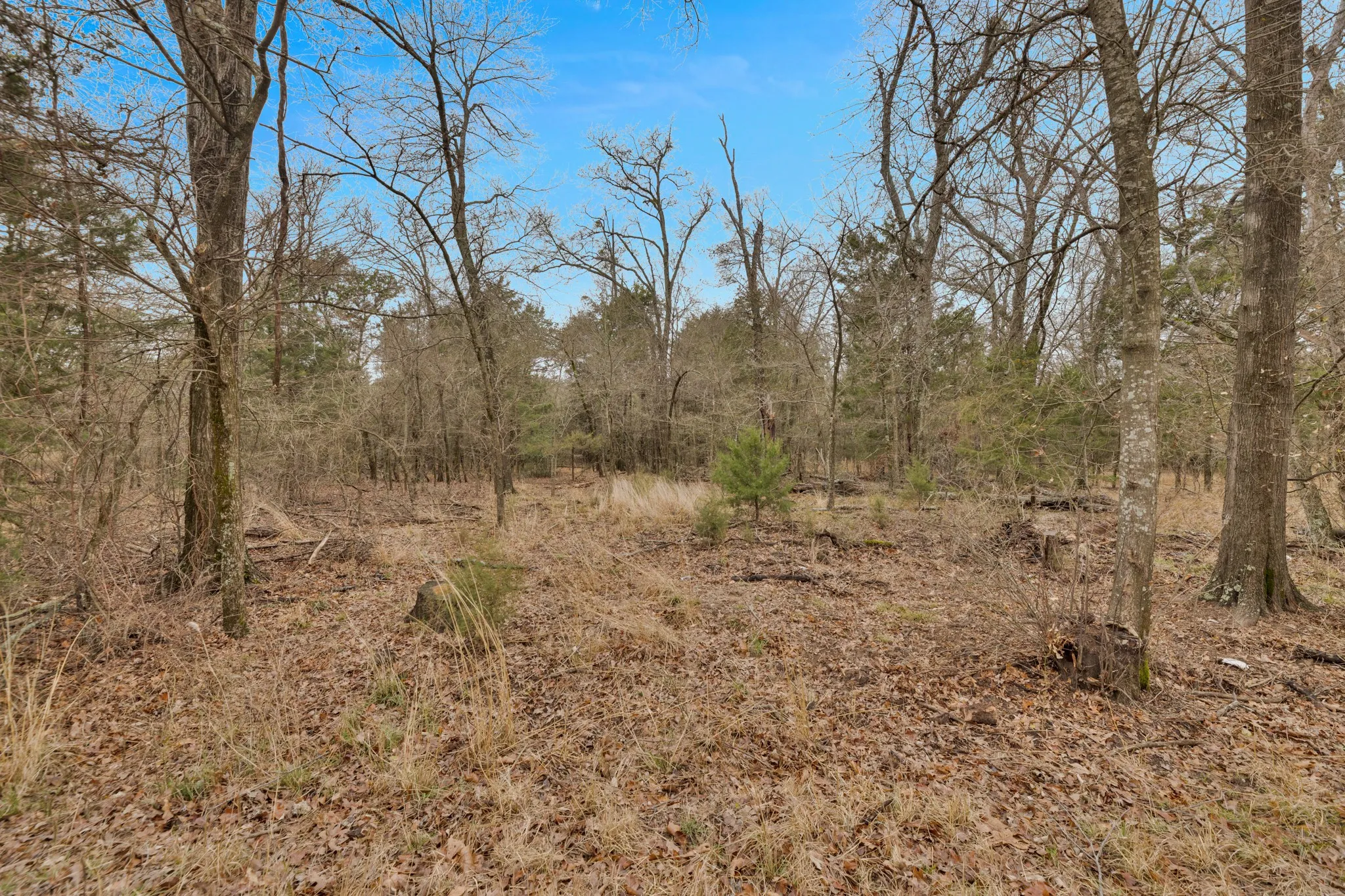 Unimproved Land For Sale in Kaufman County , TBD Co Rd 343, Kaufman, Texas 75142, 0, 0, Garage spaces, 0 Sqft, built in 0, mls#21160902, Real Estate Agent in Kaufman, Homes For Sale in Kaufman county, Homes For Sale in Kaufman, Realtor in Kaufman Texas, Real Estate Brokerage Independent Realty Texas, Luminita Cordes Realtor