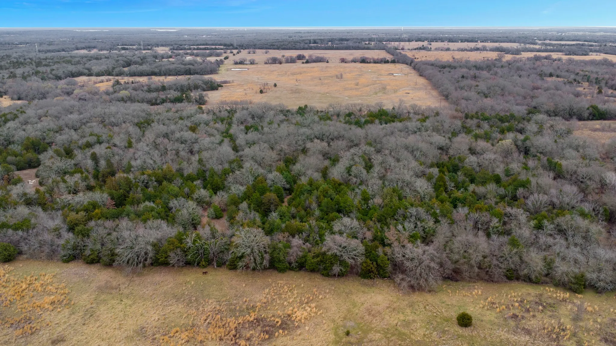 Unimproved Land For Sale in Kaufman County , TBD Co Rd 343, Kaufman, Texas 75142, 0, 0, Garage spaces, 0 Sqft, built in 0, mls#21160902, Real Estate Agent in Kaufman, Homes For Sale in Kaufman county, Homes For Sale in Kaufman, Realtor in Kaufman Texas, Real Estate Brokerage Independent Realty Texas, Luminita Cordes Realtor