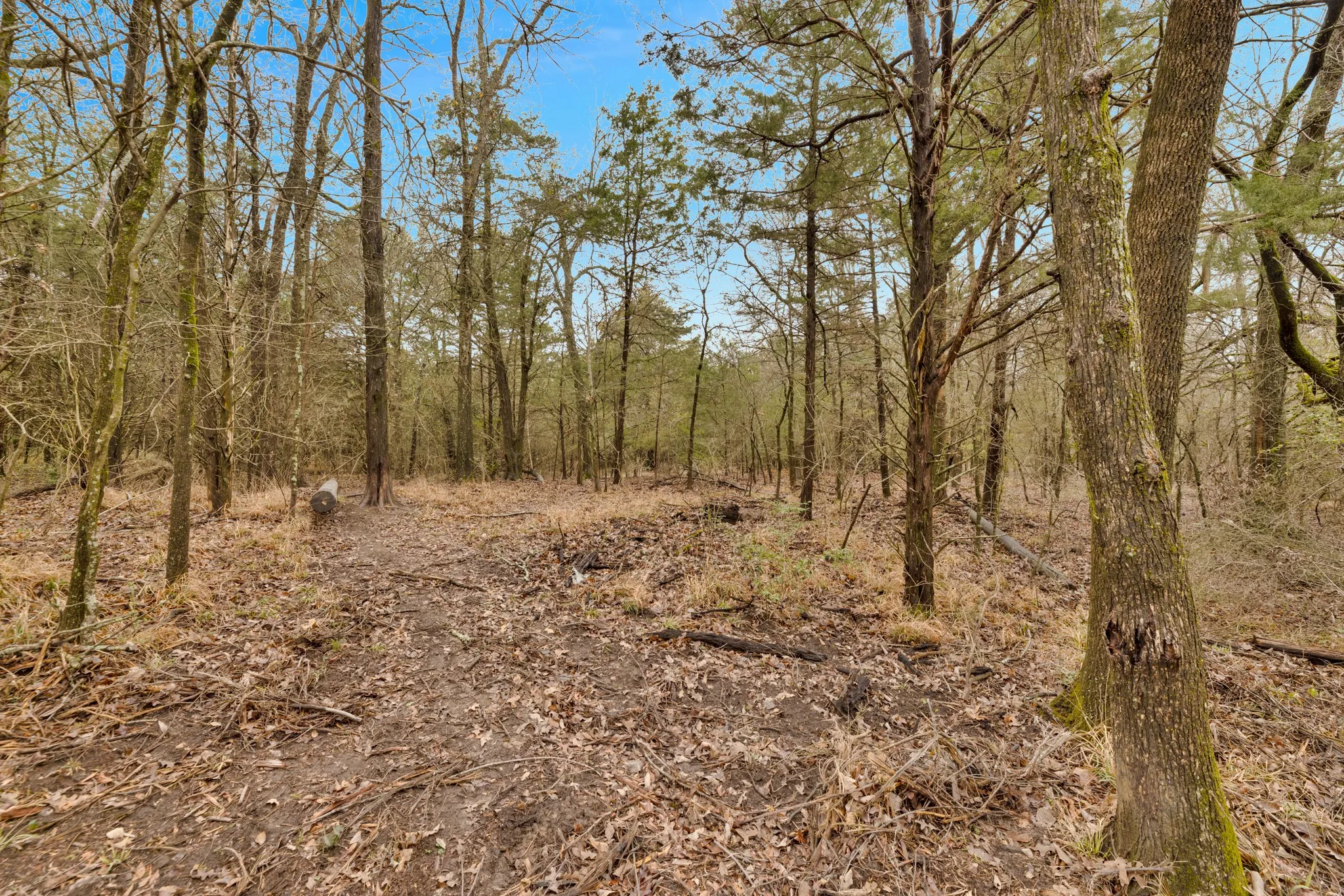 Unimproved Land For Sale in Kaufman County , TBD Co Rd 343, Kaufman, Texas 75142, 0, 0, Garage spaces, 0 Sqft, built in 0, mls#21160902, Real Estate Agent in Kaufman, Homes For Sale in Kaufman county, Homes For Sale in Kaufman, Realtor in Kaufman Texas, Real Estate Brokerage Independent Realty Texas, Luminita Cordes Realtor