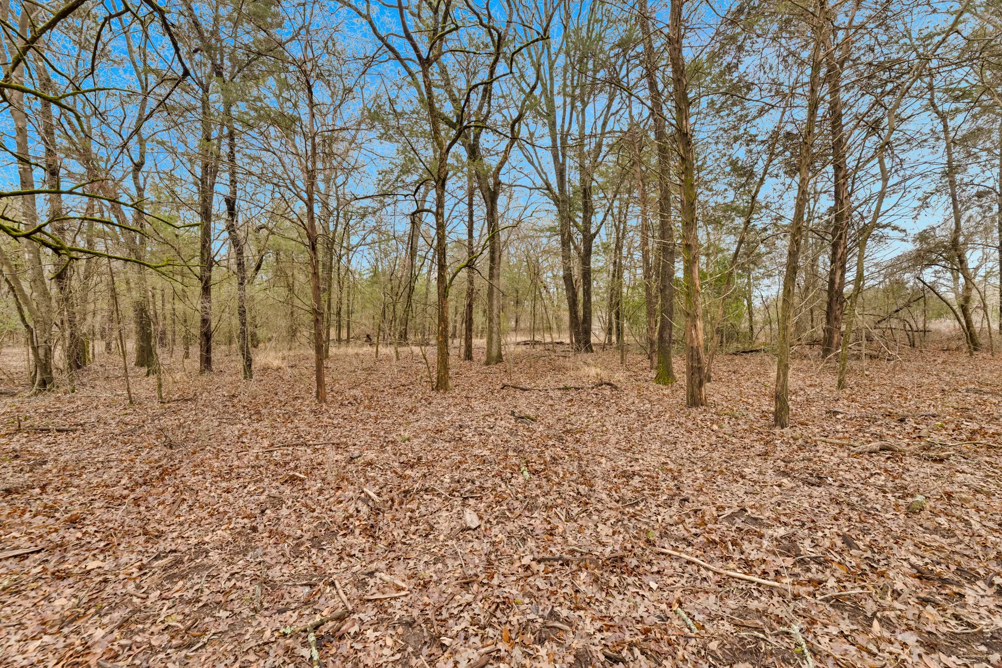 Unimproved Land For Sale in Kaufman County , TBD Co Rd 343, Kaufman, Texas 75142, 0, 0, Garage spaces, 0 Sqft, built in 0, mls#21160902, Real Estate Agent in Kaufman, Homes For Sale in Kaufman county, Homes For Sale in Kaufman, Realtor in Kaufman Texas, Real Estate Brokerage Independent Realty Texas, Luminita Cordes Realtor