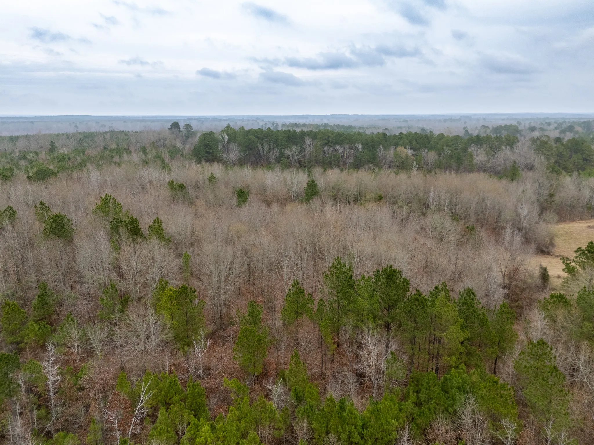 Unimproved Land For Sale in Harrison County , 0 Blocker Road, Marshall, Texas 75672, 0, 0, Garage spaces, 0 Sqft, built in 0, mls#21165793, Real Estate Agent in Marshall, Homes For Sale in Harrison county, Homes For Sale in Marshall, Realtor in Marshall Texas, Real Estate Brokerage Independent Realty Texas, Luminita Cordes Realtor