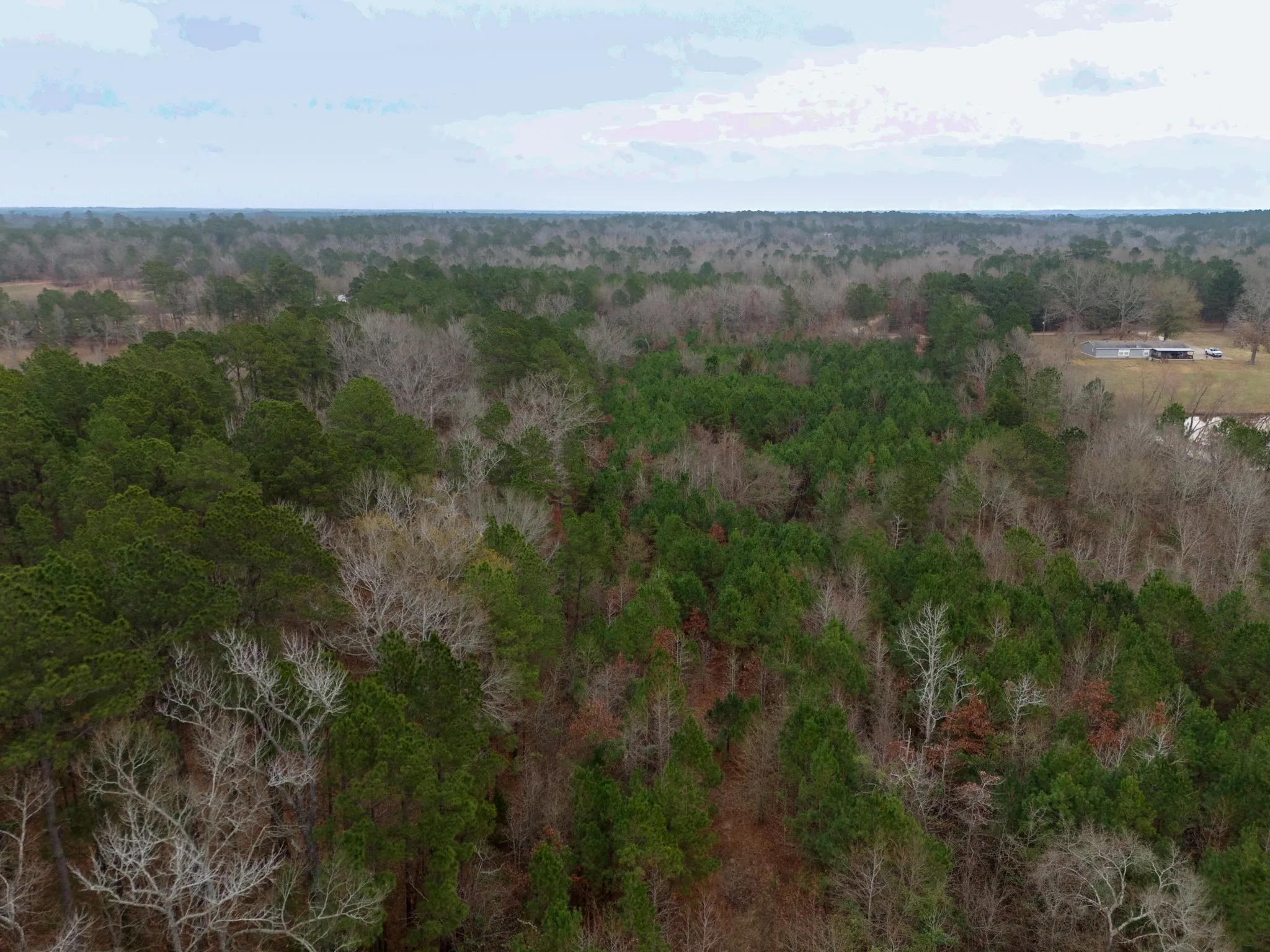 Unimproved Land For Sale in Harrison County , 0 Blocker Road, Marshall, Texas 75672, 0, 0, Garage spaces, 0 Sqft, built in 0, mls#21165793, Real Estate Agent in Marshall, Homes For Sale in Harrison county, Homes For Sale in Marshall, Realtor in Marshall Texas, Real Estate Brokerage Independent Realty Texas, Luminita Cordes Realtor