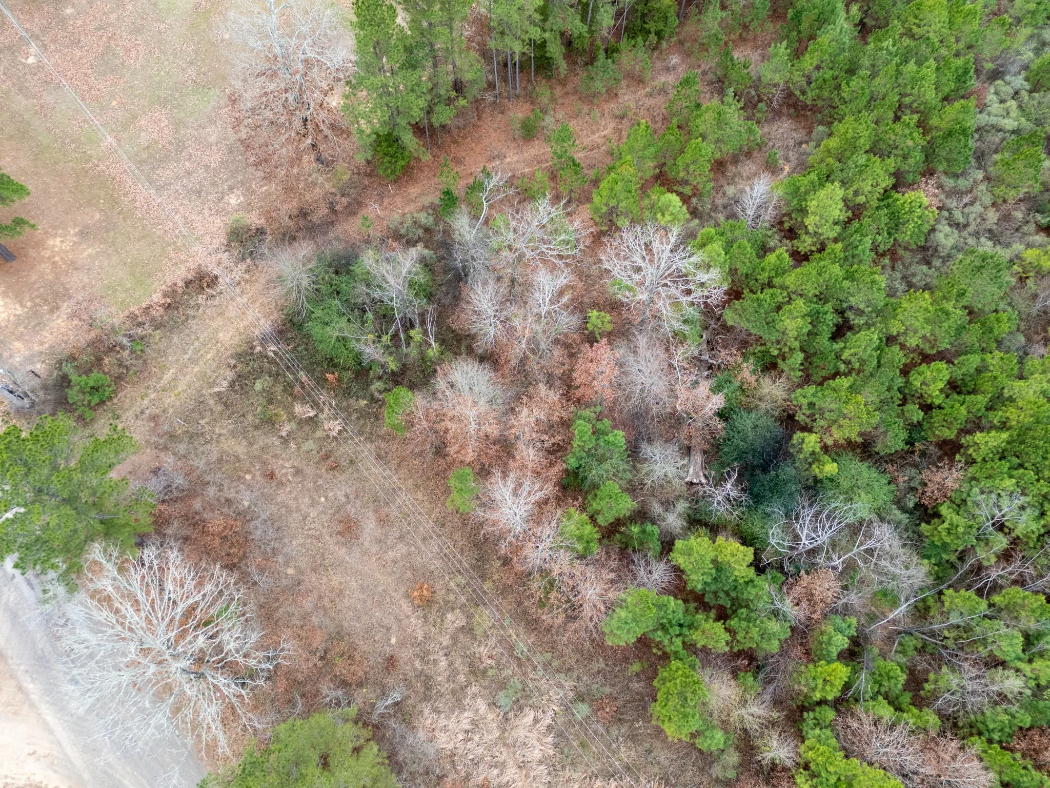 Unimproved Land For Sale in Harrison County , 0 Blocker Road, Marshall, Texas 75672, 0, 0, Garage spaces, 0 Sqft, built in 0, mls#21165793, Real Estate Agent in Marshall, Homes For Sale in Harrison county, Homes For Sale in Marshall, Realtor in Marshall Texas, Real Estate Brokerage Independent Realty Texas, Luminita Cordes Realtor