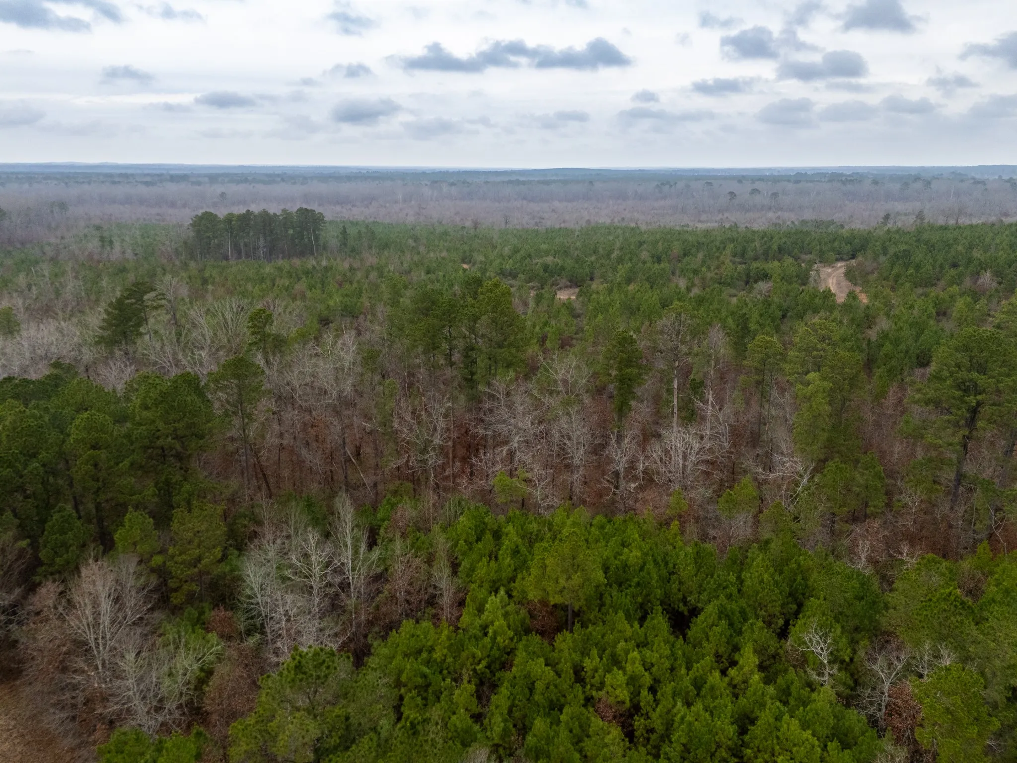 Unimproved Land For Sale in Harrison County , 0 Blocker Road, Marshall, Texas 75672, 0, 0, Garage spaces, 0 Sqft, built in 0, mls#21165793, Real Estate Agent in Marshall, Homes For Sale in Harrison county, Homes For Sale in Marshall, Realtor in Marshall Texas, Real Estate Brokerage Independent Realty Texas, Luminita Cordes Realtor