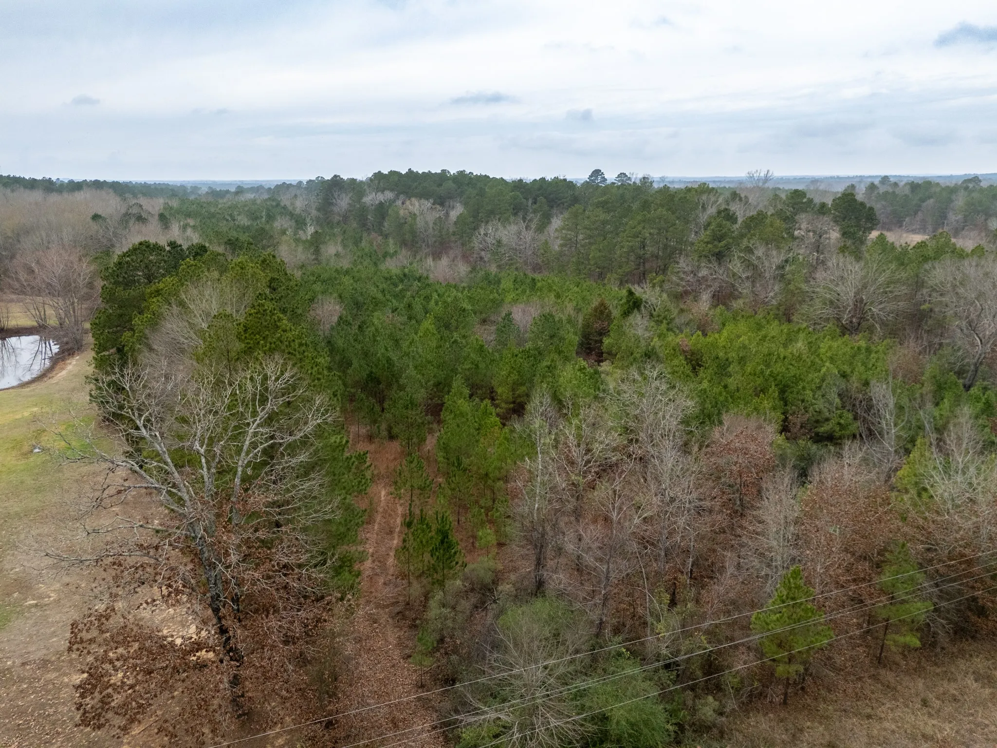 Unimproved Land For Sale in Harrison County , 0 Blocker Road, Marshall, Texas 75672, 0, 0, Garage spaces, 0 Sqft, built in 0, mls#21165793, Real Estate Agent in Marshall, Homes For Sale in Harrison county, Homes For Sale in Marshall, Realtor in Marshall Texas, Real Estate Brokerage Independent Realty Texas, Luminita Cordes Realtor