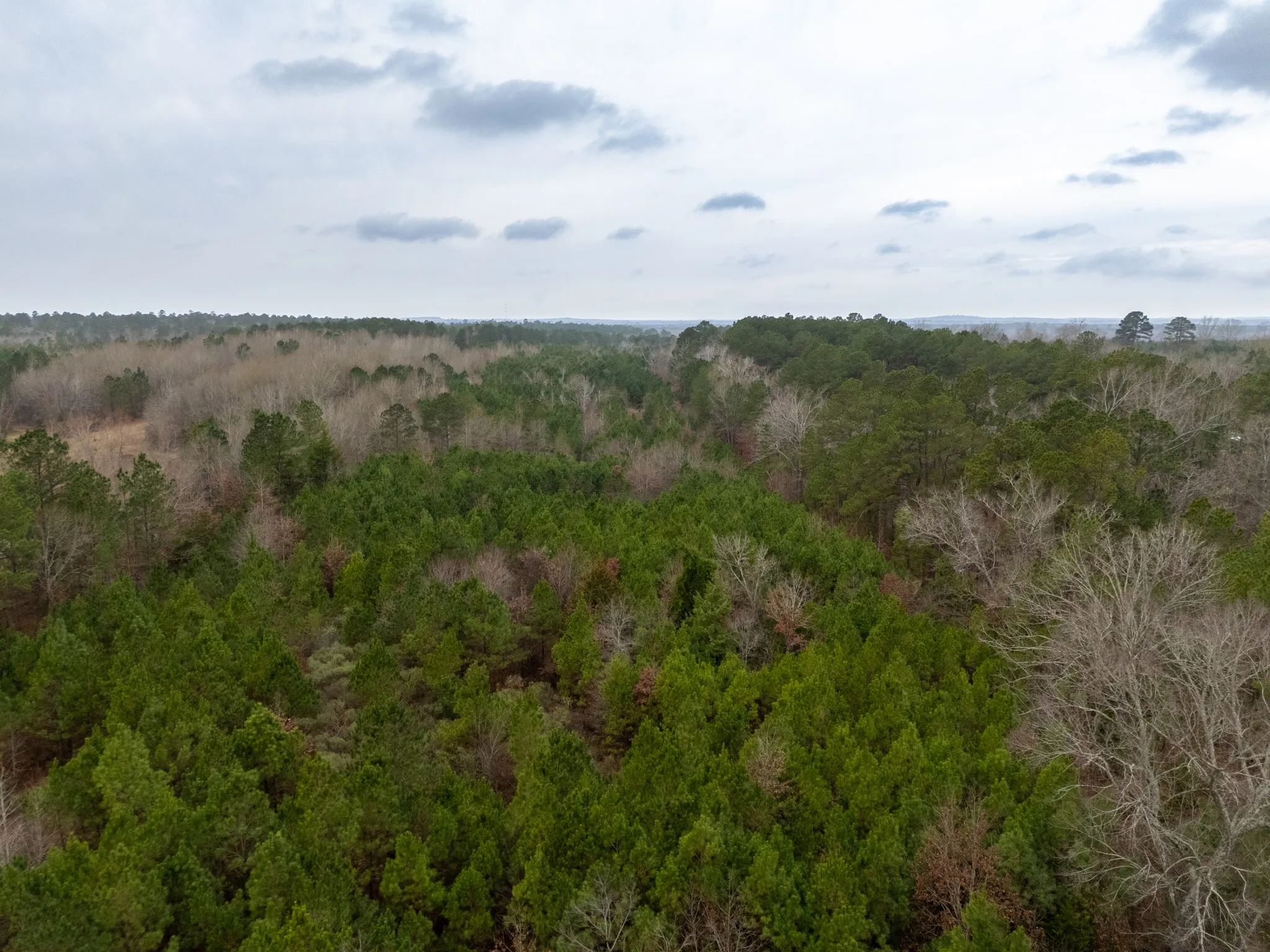 Unimproved Land For Sale in Harrison County , 0 Blocker Road, Marshall, Texas 75672, 0, 0, Garage spaces, 0 Sqft, built in 0, mls#21165793, Real Estate Agent in Marshall, Homes For Sale in Harrison county, Homes For Sale in Marshall, Realtor in Marshall Texas, Real Estate Brokerage Independent Realty Texas, Luminita Cordes Realtor