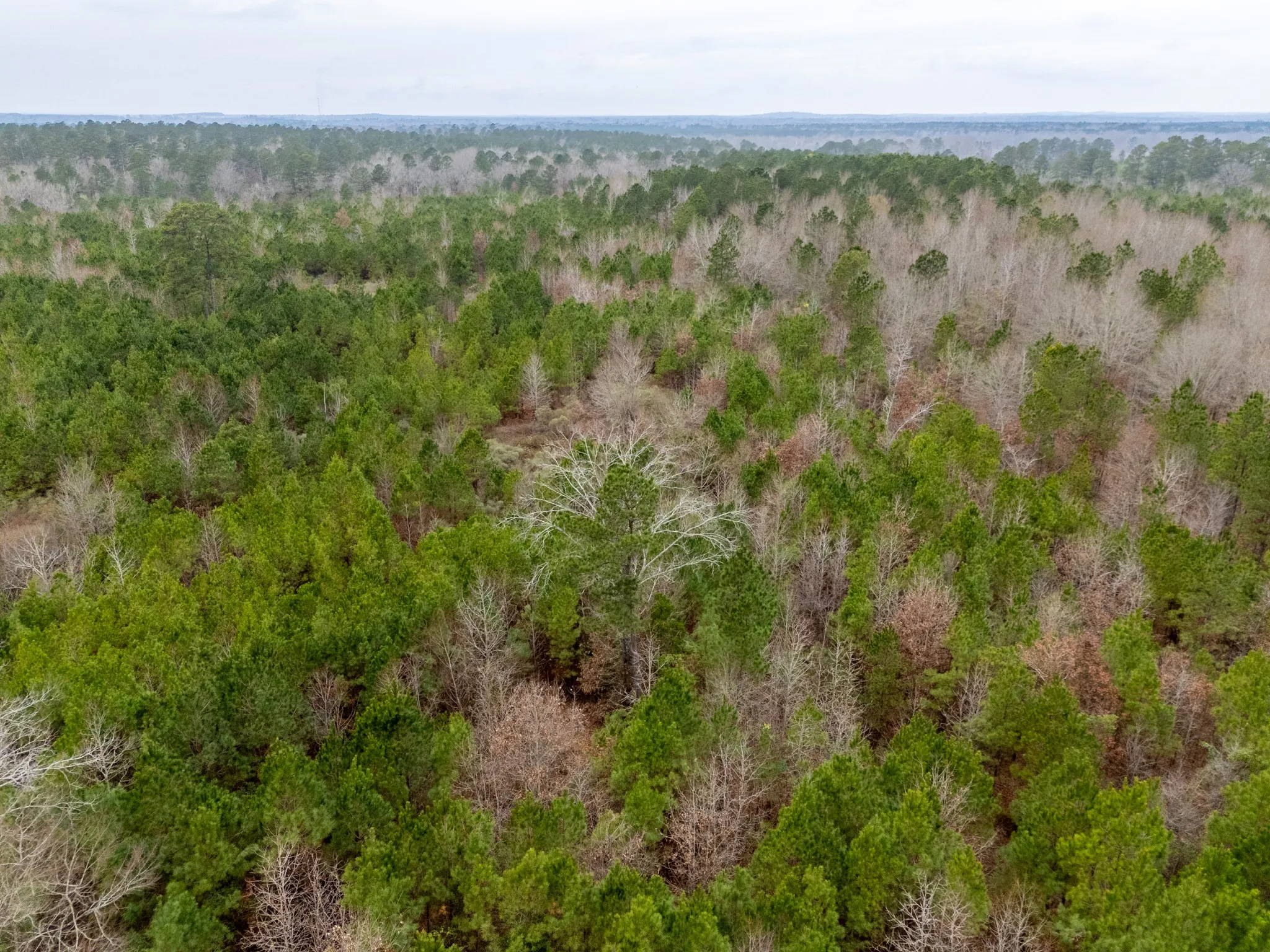 Unimproved Land For Sale in Harrison County , 0 Blocker Road, Marshall, Texas 75672, 0, 0, Garage spaces, 0 Sqft, built in 0, mls#21165793, Real Estate Agent in Marshall, Homes For Sale in Harrison county, Homes For Sale in Marshall, Realtor in Marshall Texas, Real Estate Brokerage Independent Realty Texas, Luminita Cordes Realtor