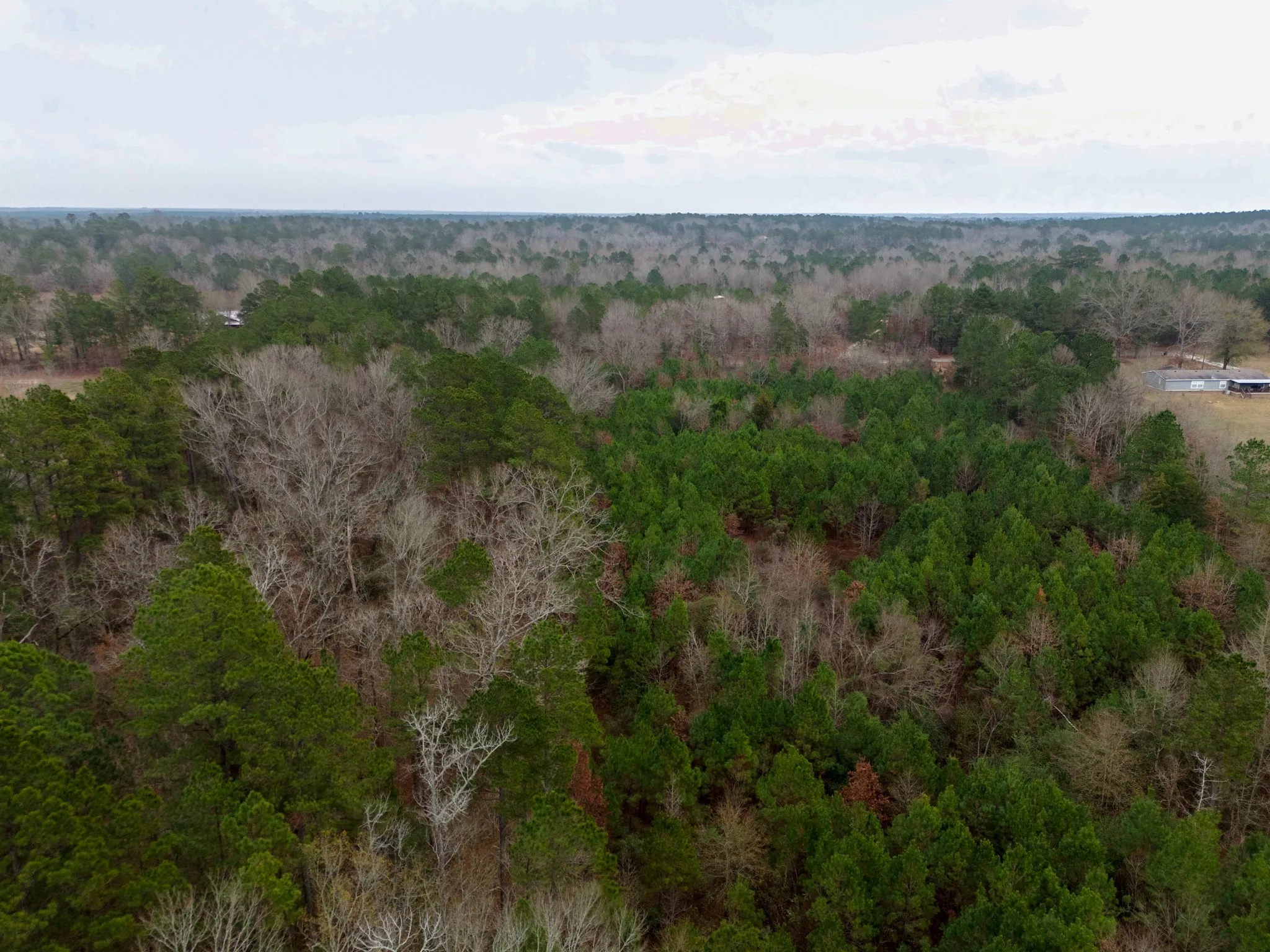 Unimproved Land For Sale in Harrison County , 0 Blocker Road, Marshall, Texas 75672, 0, 0, Garage spaces, 0 Sqft, built in 0, mls#21165793, Real Estate Agent in Marshall, Homes For Sale in Harrison county, Homes For Sale in Marshall, Realtor in Marshall Texas, Real Estate Brokerage Independent Realty Texas, Luminita Cordes Realtor