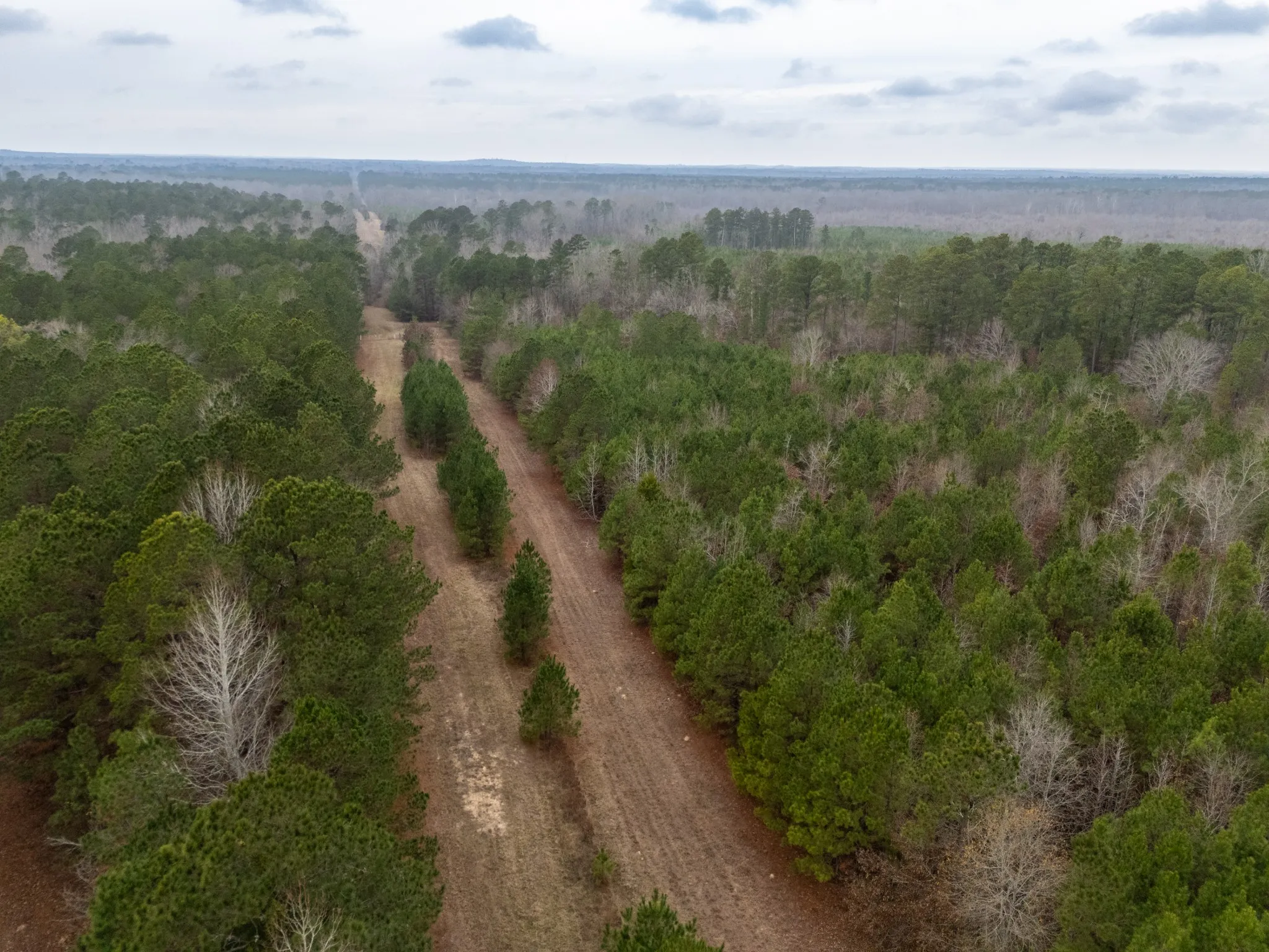 Unimproved Land For Sale in Harrison County , 0 Blocker Road, Marshall, Texas 75672, 0, 0, Garage spaces, 0 Sqft, built in 0, mls#21165793, Real Estate Agent in Marshall, Homes For Sale in Harrison county, Homes For Sale in Marshall, Realtor in Marshall Texas, Real Estate Brokerage Independent Realty Texas, Luminita Cordes Realtor