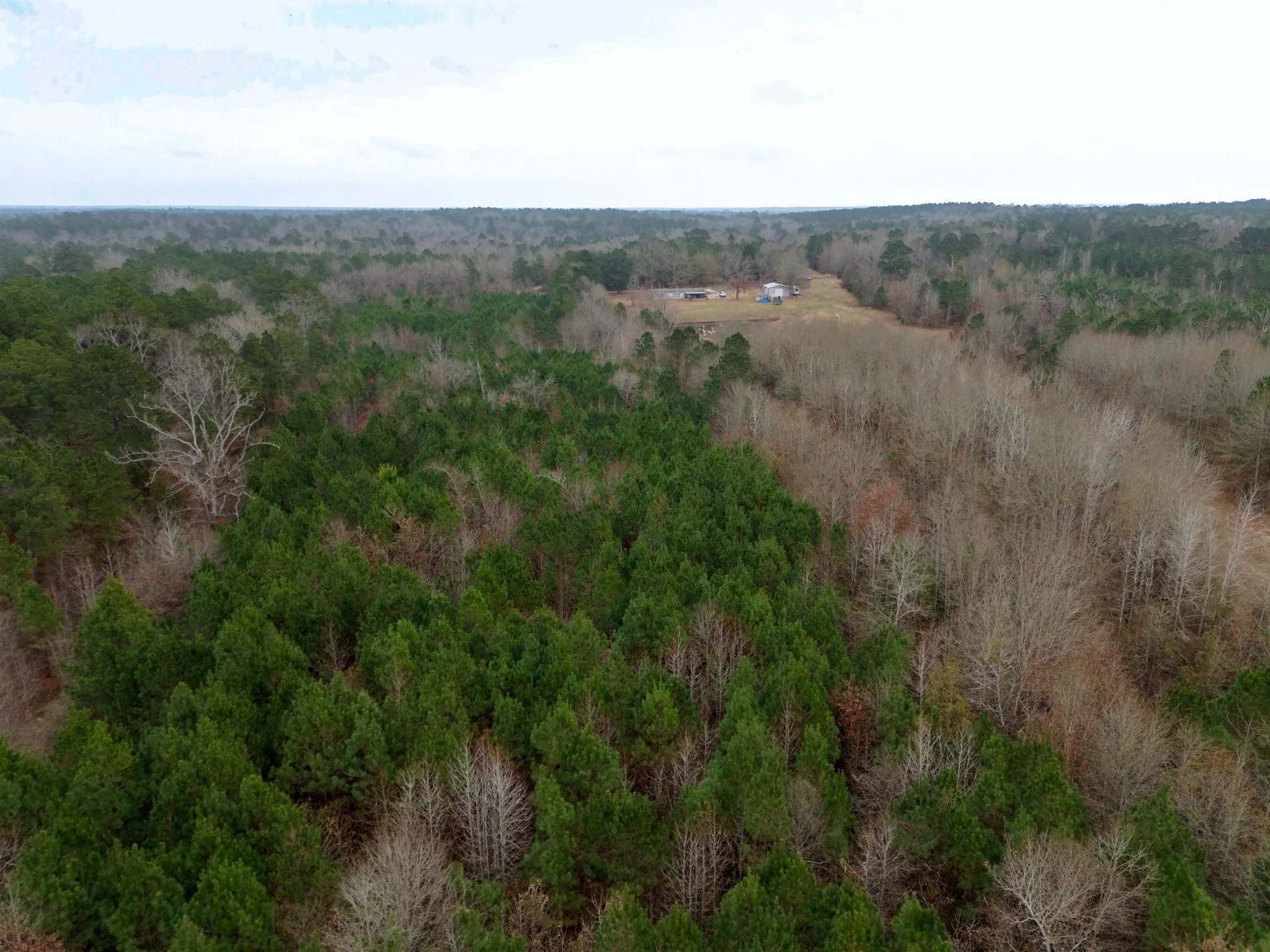 Unimproved Land For Sale in Harrison County , 0 Blocker Road, Marshall, Texas 75672, 0, 0, Garage spaces, 0 Sqft, built in 0, mls#21165793, Real Estate Agent in Marshall, Homes For Sale in Harrison county, Homes For Sale in Marshall, Realtor in Marshall Texas, Real Estate Brokerage Independent Realty Texas, Luminita Cordes Realtor