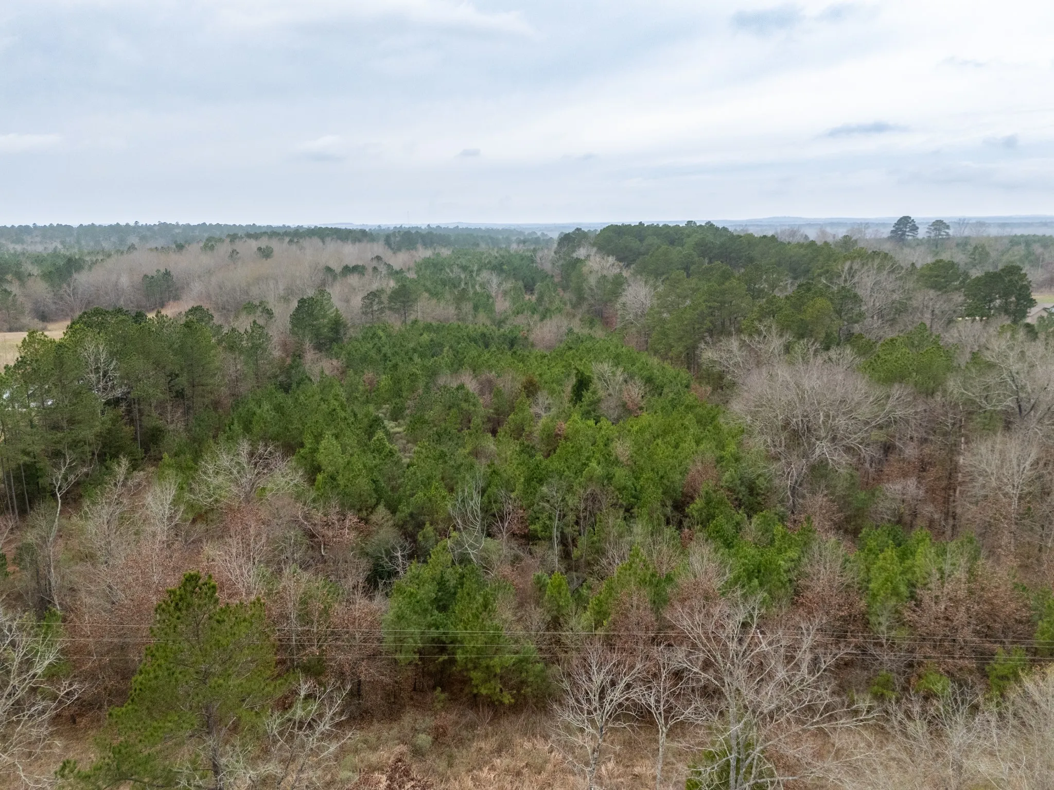 Unimproved Land For Sale in Harrison County , 0 Blocker Road, Marshall, Texas 75672, 0, 0, Garage spaces, 0 Sqft, built in 0, mls#21165793, Real Estate Agent in Marshall, Homes For Sale in Harrison county, Homes For Sale in Marshall, Realtor in Marshall Texas, Real Estate Brokerage Independent Realty Texas, Luminita Cordes Realtor