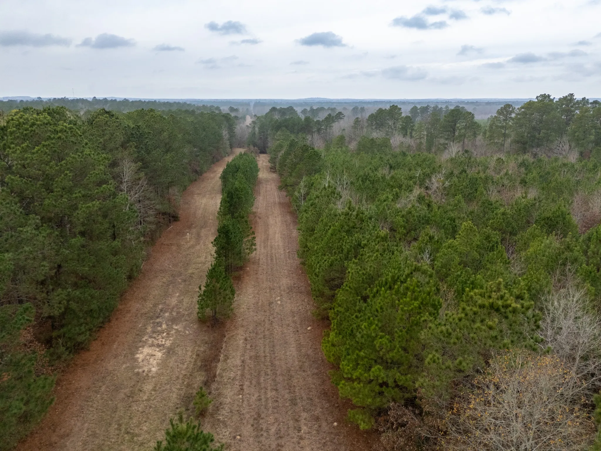 Unimproved Land For Sale in Harrison County , 0 Blocker Road, Marshall, Texas 75672, 0, 0, Garage spaces, 0 Sqft, built in 0, mls#21165793, Real Estate Agent in Marshall, Homes For Sale in Harrison county, Homes For Sale in Marshall, Realtor in Marshall Texas, Real Estate Brokerage Independent Realty Texas, Luminita Cordes Realtor