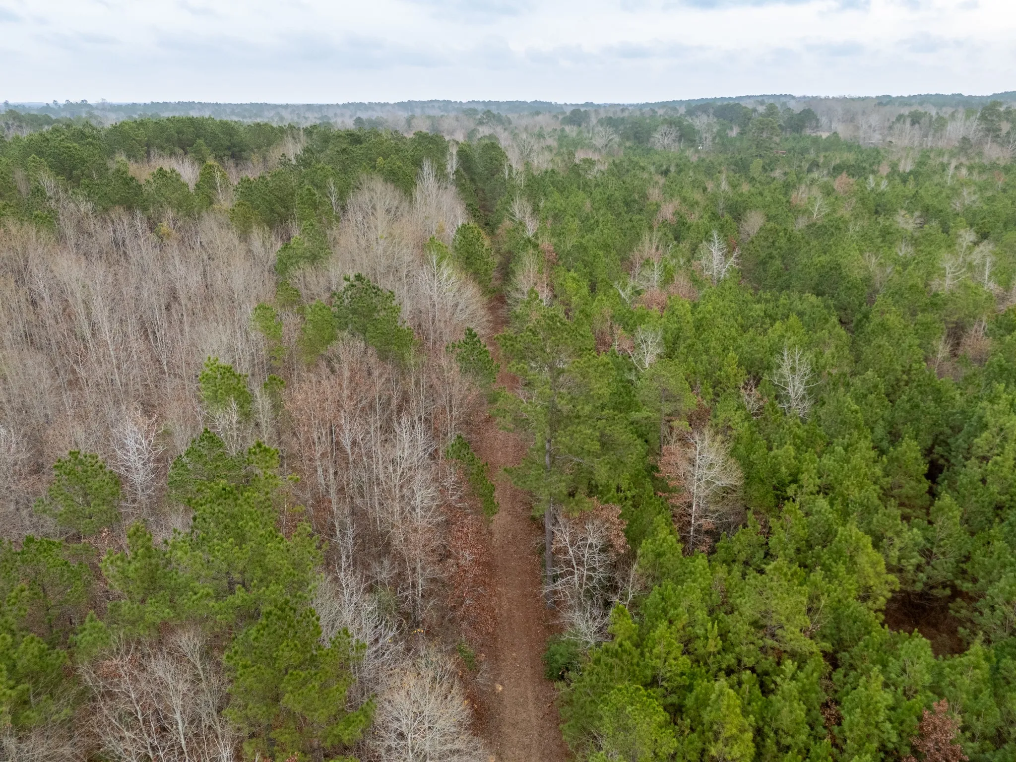 Unimproved Land For Sale in Harrison County , 0 Blocker Road, Marshall, Texas 75672, 0, 0, Garage spaces, 0 Sqft, built in 0, mls#21165793, Real Estate Agent in Marshall, Homes For Sale in Harrison county, Homes For Sale in Marshall, Realtor in Marshall Texas, Real Estate Brokerage Independent Realty Texas, Luminita Cordes Realtor