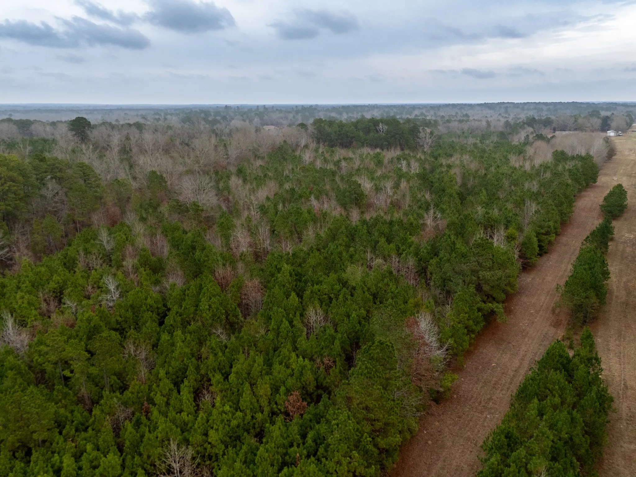Unimproved Land For Sale in Harrison County , 0 Blocker Road, Marshall, Texas 75672, 0, 0, Garage spaces, 0 Sqft, built in 0, mls#21165793, Real Estate Agent in Marshall, Homes For Sale in Harrison county, Homes For Sale in Marshall, Realtor in Marshall Texas, Real Estate Brokerage Independent Realty Texas, Luminita Cordes Realtor