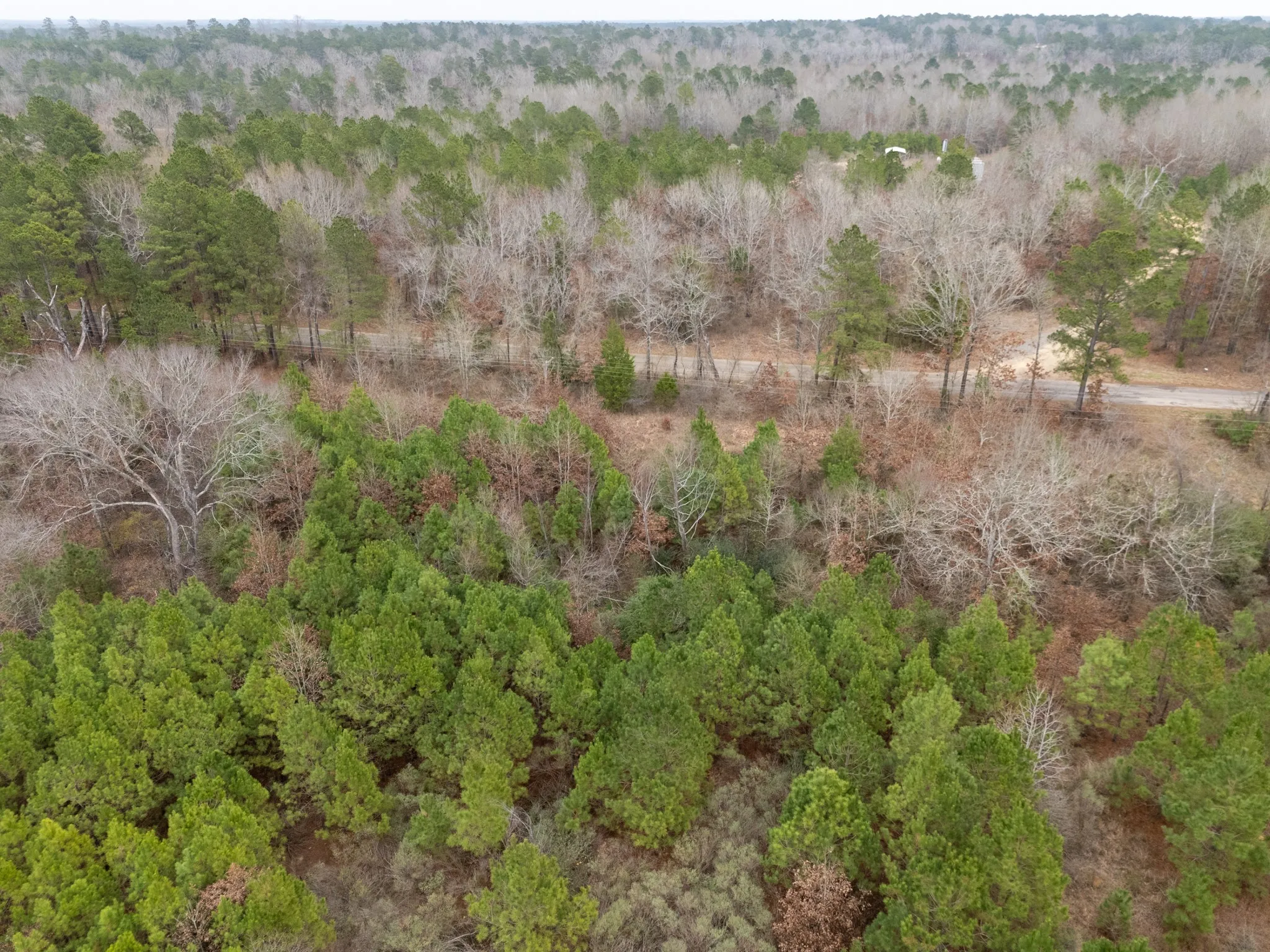 Unimproved Land For Sale in Harrison County , 0 Blocker Road, Marshall, Texas 75672, 0, 0, Garage spaces, 0 Sqft, built in 0, mls#21165793, Real Estate Agent in Marshall, Homes For Sale in Harrison county, Homes For Sale in Marshall, Realtor in Marshall Texas, Real Estate Brokerage Independent Realty Texas, Luminita Cordes Realtor