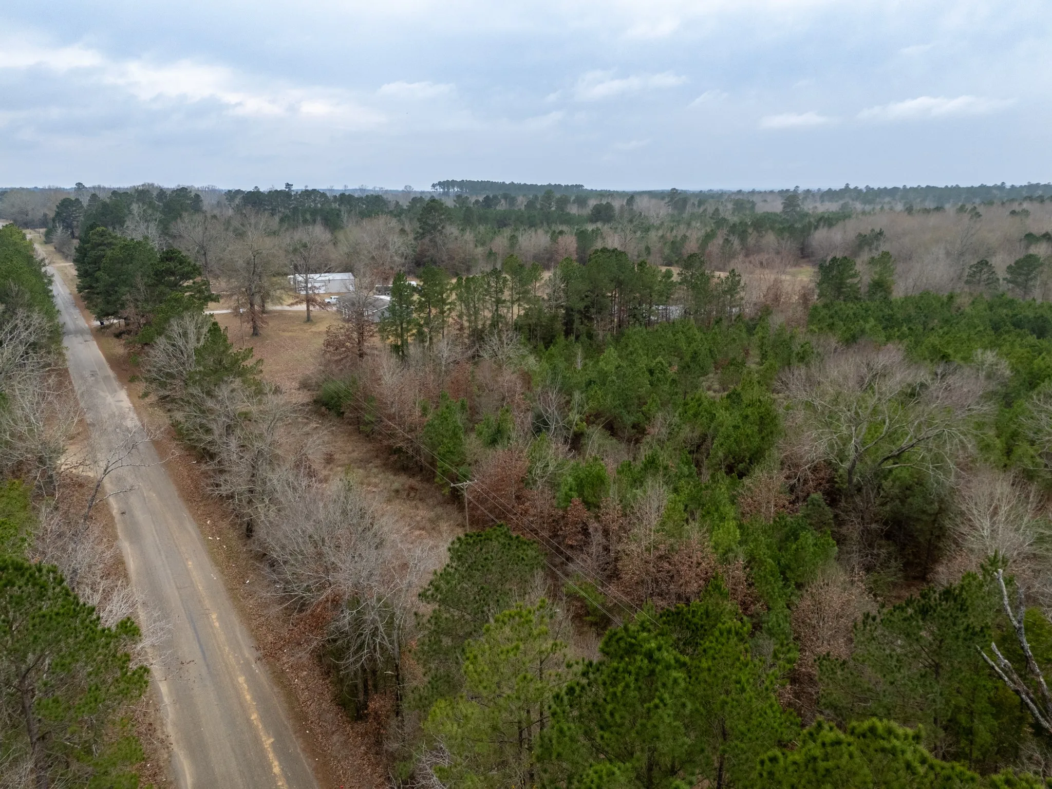Unimproved Land For Sale in Harrison County , 0 Blocker Road, Marshall, Texas 75672, 0, 0, Garage spaces, 0 Sqft, built in 0, mls#21165793, Real Estate Agent in Marshall, Homes For Sale in Harrison county, Homes For Sale in Marshall, Realtor in Marshall Texas, Real Estate Brokerage Independent Realty Texas, Luminita Cordes Realtor