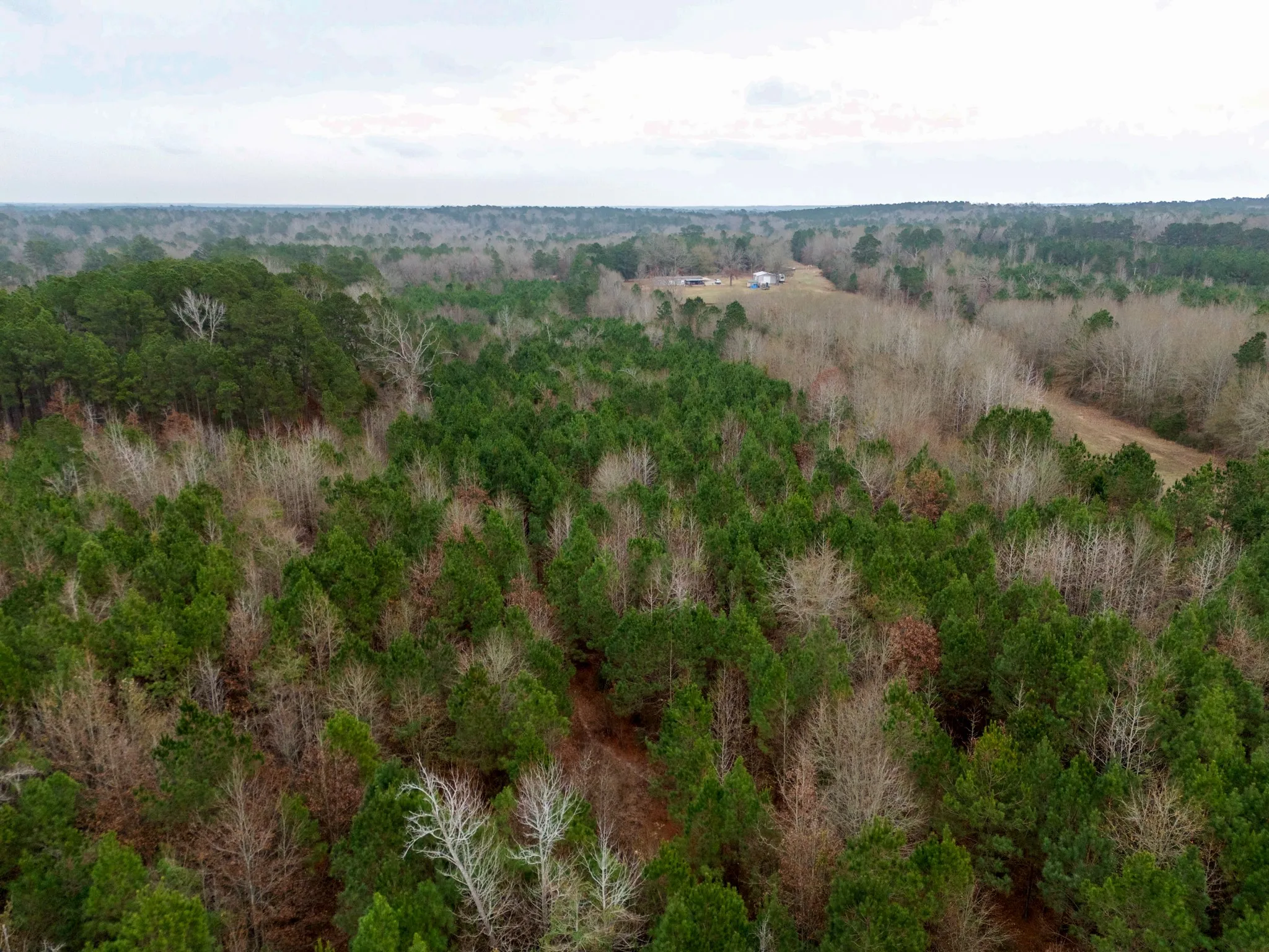 Unimproved Land For Sale in Harrison County , 0 Blocker Road, Marshall, Texas 75672, 0, 0, Garage spaces, 0 Sqft, built in 0, mls#21165793, Real Estate Agent in Marshall, Homes For Sale in Harrison county, Homes For Sale in Marshall, Realtor in Marshall Texas, Real Estate Brokerage Independent Realty Texas, Luminita Cordes Realtor