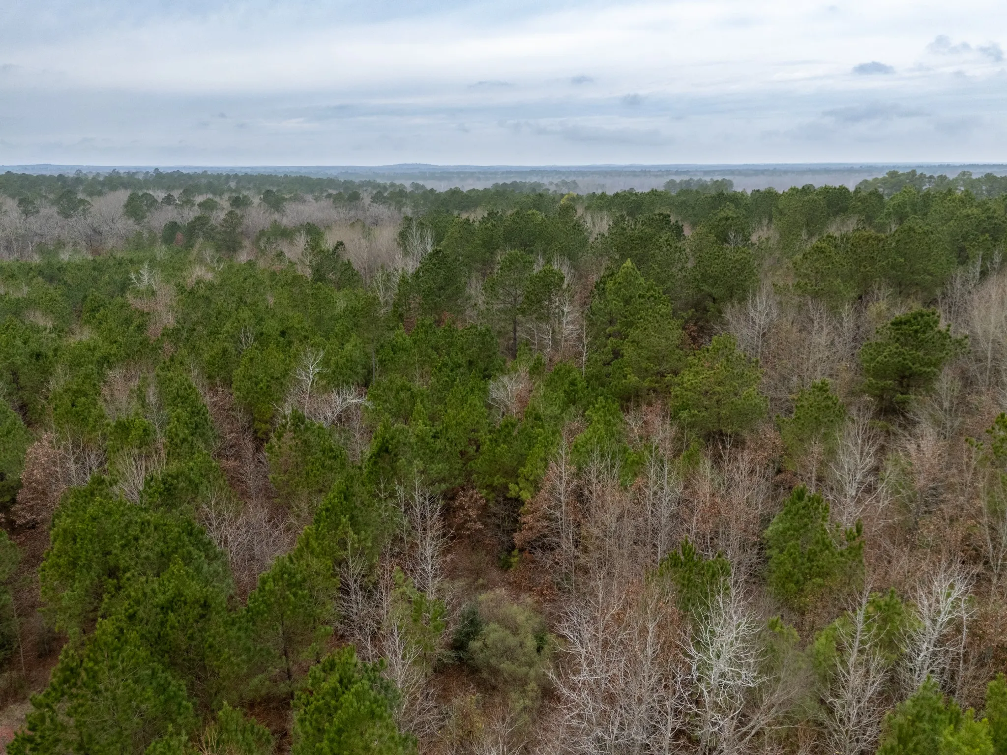 Unimproved Land For Sale in Harrison County , 0 Blocker Road, Marshall, Texas 75672, 0, 0, Garage spaces, 0 Sqft, built in 0, mls#21165793, Real Estate Agent in Marshall, Homes For Sale in Harrison county, Homes For Sale in Marshall, Realtor in Marshall Texas, Real Estate Brokerage Independent Realty Texas, Luminita Cordes Realtor