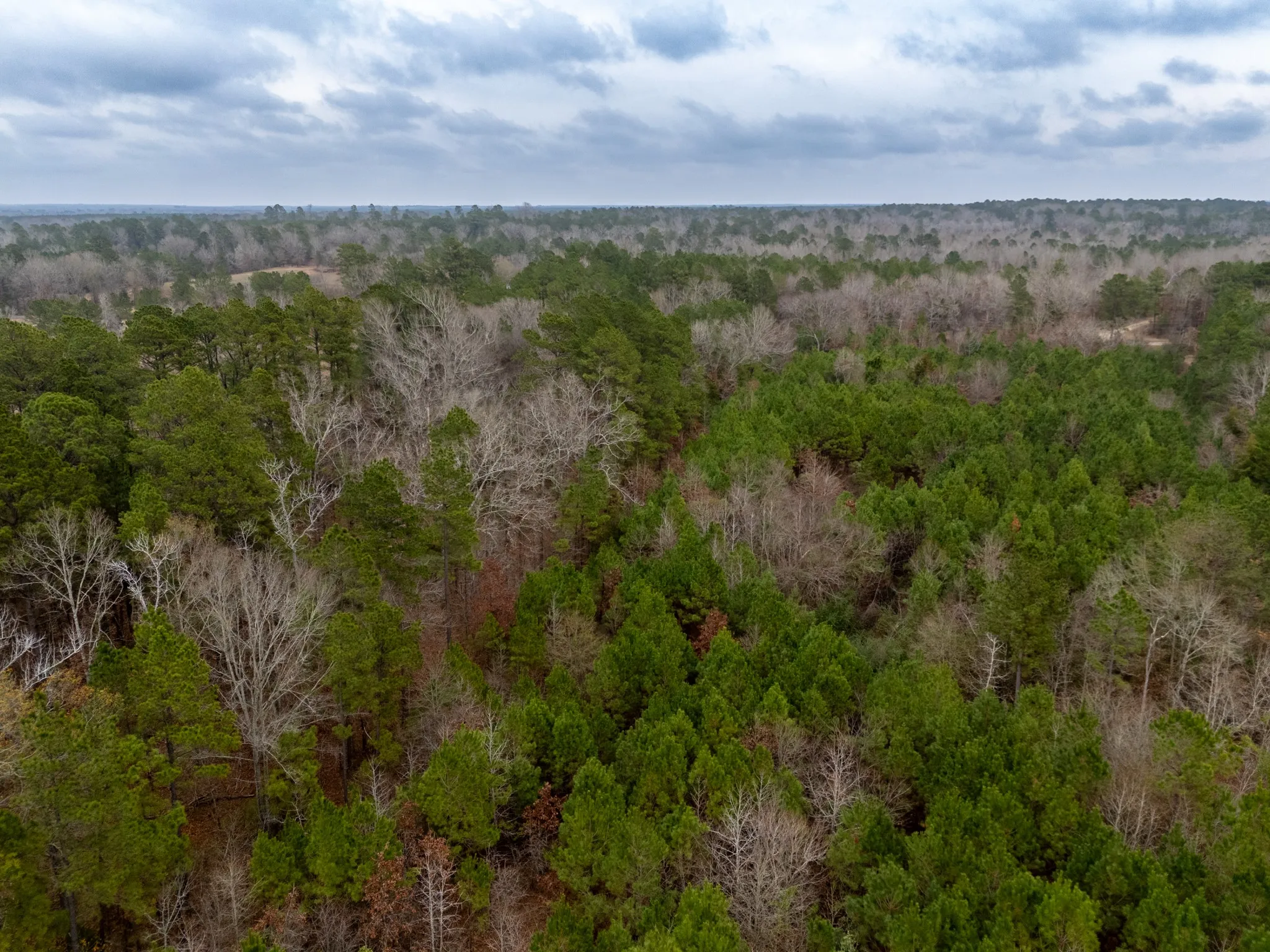 Unimproved Land For Sale in Harrison County , 0 Blocker Road, Marshall, Texas 75672, 0, 0, Garage spaces, 0 Sqft, built in 0, mls#21165793, Real Estate Agent in Marshall, Homes For Sale in Harrison county, Homes For Sale in Marshall, Realtor in Marshall Texas, Real Estate Brokerage Independent Realty Texas, Luminita Cordes Realtor