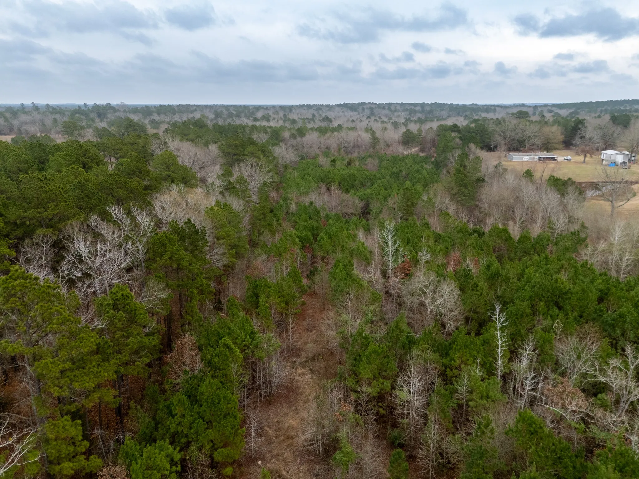 Unimproved Land For Sale in Harrison County , 0 Blocker Road, Marshall, Texas 75672, 0, 0, Garage spaces, 0 Sqft, built in 0, mls#21165793, Real Estate Agent in Marshall, Homes For Sale in Harrison county, Homes For Sale in Marshall, Realtor in Marshall Texas, Real Estate Brokerage Independent Realty Texas, Luminita Cordes Realtor