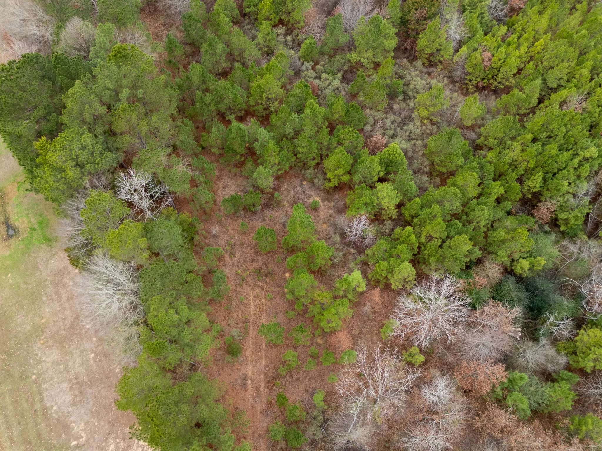 Unimproved Land For Sale in Harrison County , 0 Blocker Road, Marshall, Texas 75672, 0, 0, Garage spaces, 0 Sqft, built in 0, mls#21165793, Real Estate Agent in Marshall, Homes For Sale in Harrison county, Homes For Sale in Marshall, Realtor in Marshall Texas, Real Estate Brokerage Independent Realty Texas, Luminita Cordes Realtor