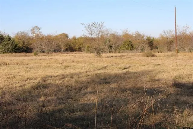 Unimproved Land For Sale in Van Zandt County , TBD 3415, Wills Point, Texas 75169, 0, 0, Garage spaces, 0 Sqft, built in 0, mls#21165851, Real Estate Agent in Wills Point, Homes For Sale in Van Zandt county, Homes For Sale in Wills Point, Realtor in Wills Point Texas, Real Estate Brokerage Independent Realty Texas, Luminita Cordes Realtor