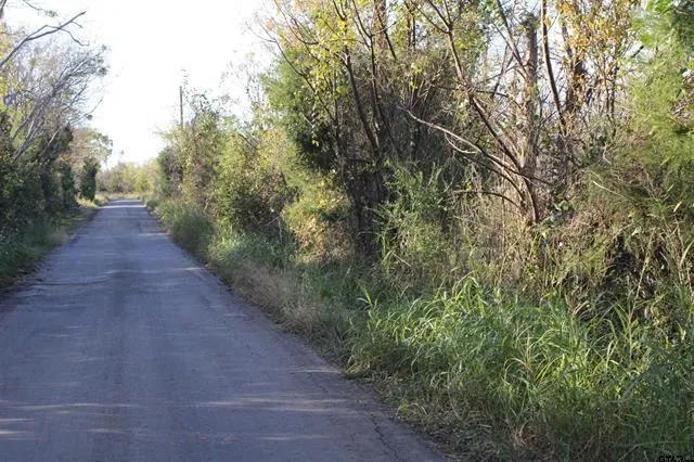 Unimproved Land For Sale in Van Zandt County , TBD 3415, Wills Point, Texas 75169, 0, 0, Garage spaces, 0 Sqft, built in 0, mls#21165851, Real Estate Agent in Wills Point, Homes For Sale in Van Zandt county, Homes For Sale in Wills Point, Realtor in Wills Point Texas, Real Estate Brokerage Independent Realty Texas, Luminita Cordes Realtor
