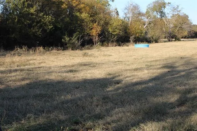 Unimproved Land For Sale in Van Zandt County , TBD 3415, Wills Point, Texas 75169, 0, 0, Garage spaces, 0 Sqft, built in 0, mls#21165851, Real Estate Agent in Wills Point, Homes For Sale in Van Zandt county, Homes For Sale in Wills Point, Realtor in Wills Point Texas, Real Estate Brokerage Independent Realty Texas, Luminita Cordes Realtor