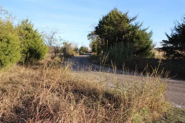 Unimproved Land For Sale in Van Zandt County , TBD 3415, Wills Point, Texas 75169, 0, 0, Garage spaces, 0 Sqft, built in 0, mls#21165851, Real Estate Agent in Wills Point, Homes For Sale in Van Zandt county, Homes For Sale in Wills Point, Realtor in Wills Point Texas, Real Estate Brokerage Independent Realty Texas, Luminita Cordes Realtor