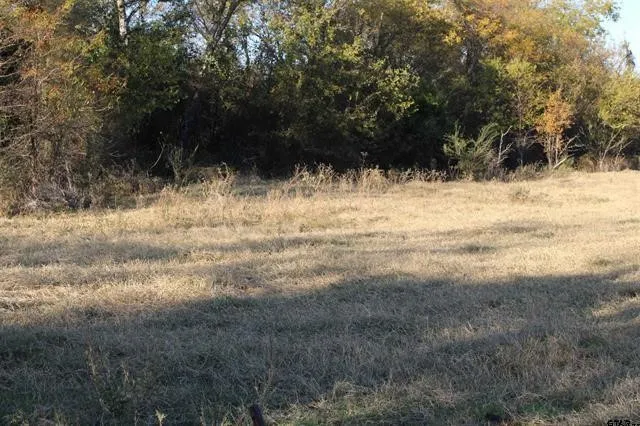 Unimproved Land For Sale in Van Zandt County , TBD 3415, Wills Point, Texas 75169, 0, 0, Garage spaces, 0 Sqft, built in 0, mls#21165851, Real Estate Agent in Wills Point, Homes For Sale in Van Zandt county, Homes For Sale in Wills Point, Realtor in Wills Point Texas, Real Estate Brokerage Independent Realty Texas, Luminita Cordes Realtor