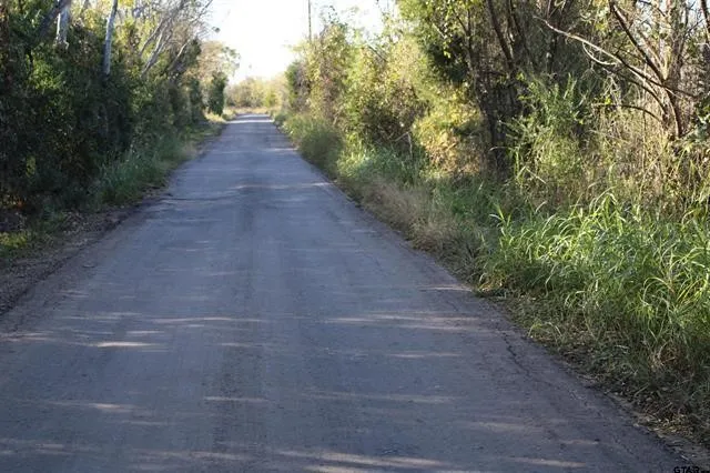 Unimproved Land For Sale in Van Zandt County , TBD 3415, Wills Point, Texas 75169, 0, 0, Garage spaces, 0 Sqft, built in 0, mls#21165851, Real Estate Agent in Wills Point, Homes For Sale in Van Zandt county, Homes For Sale in Wills Point, Realtor in Wills Point Texas, Real Estate Brokerage Independent Realty Texas, Luminita Cordes Realtor