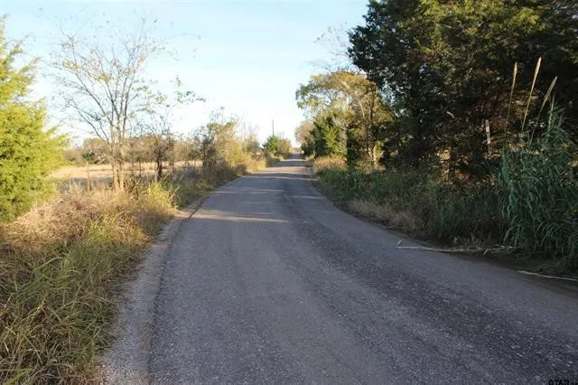 Unimproved Land For Sale in Van Zandt County , TBD 3415, Wills Point, Texas 75169, 0, 0, Garage spaces, 0 Sqft, built in 0, mls#21165851, Real Estate Agent in Wills Point, Homes For Sale in Van Zandt county, Homes For Sale in Wills Point, Realtor in Wills Point Texas, Real Estate Brokerage Independent Realty Texas, Luminita Cordes Realtor