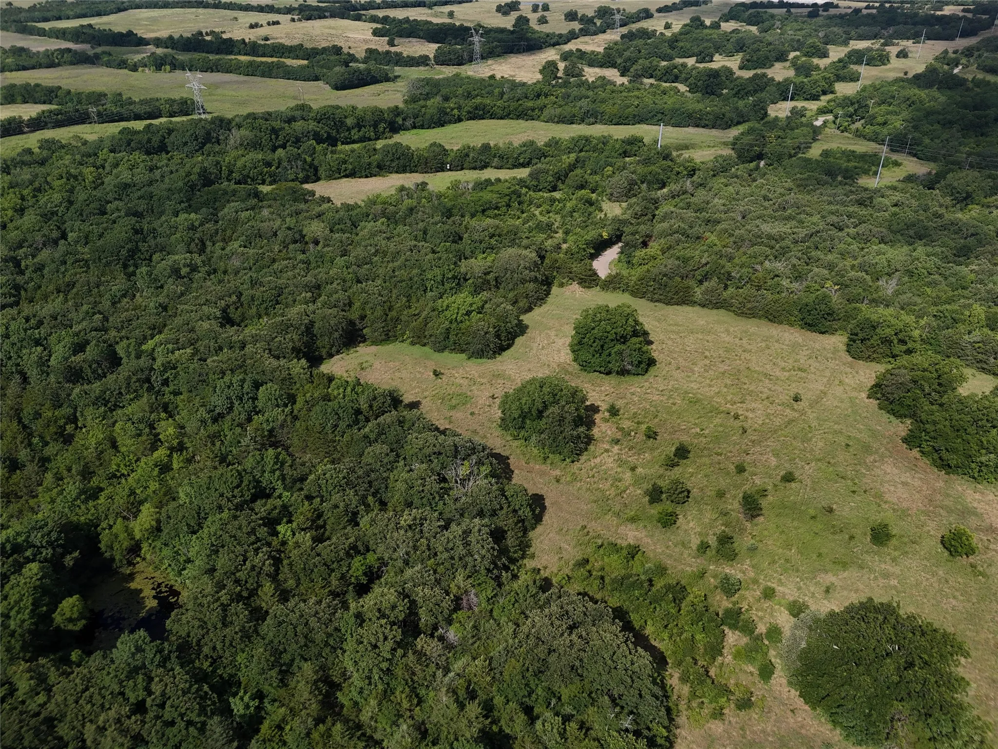 Unimproved Land For Sale in Fannin County , 1700 CR 2770, Honey Grove, Texas 75446, 0, 0, Garage spaces, 0 Sqft, built in 0, Price $297,500, mls#21165941, Real Estate Agent in Honey Grove, Homes For Sale in Fannin county, Homes For Sale in Honey Grove, Realtor in Honey Grove Texas, Real Estate Brokerage Independent Realty Texas, Luminita Cordes Realtor