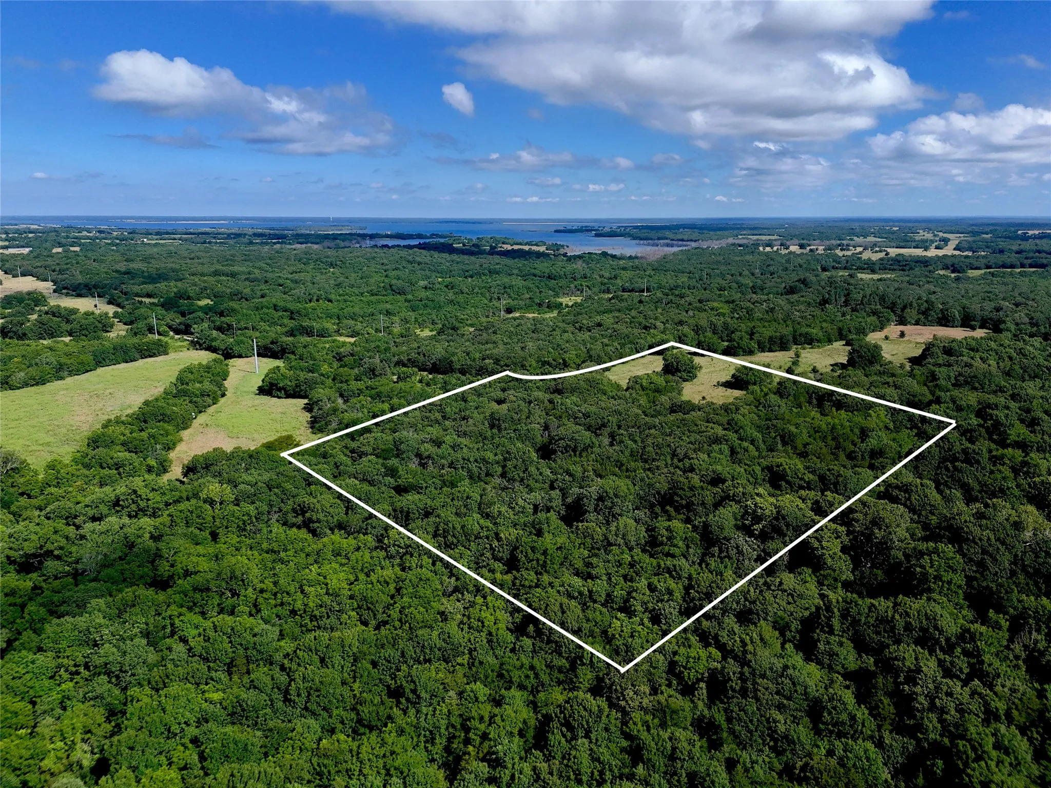 Unimproved Land For Sale in Fannin County , 1700 CR 2770, Honey Grove, Texas 75446, 0, 0, Garage spaces, 0 Sqft, built in 0, Price $297,500, mls#21165941, Real Estate Agent in Honey Grove, Homes For Sale in Fannin county, Homes For Sale in Honey Grove, Realtor in Honey Grove Texas, Real Estate Brokerage Independent Realty Texas, Luminita Cordes Realtor