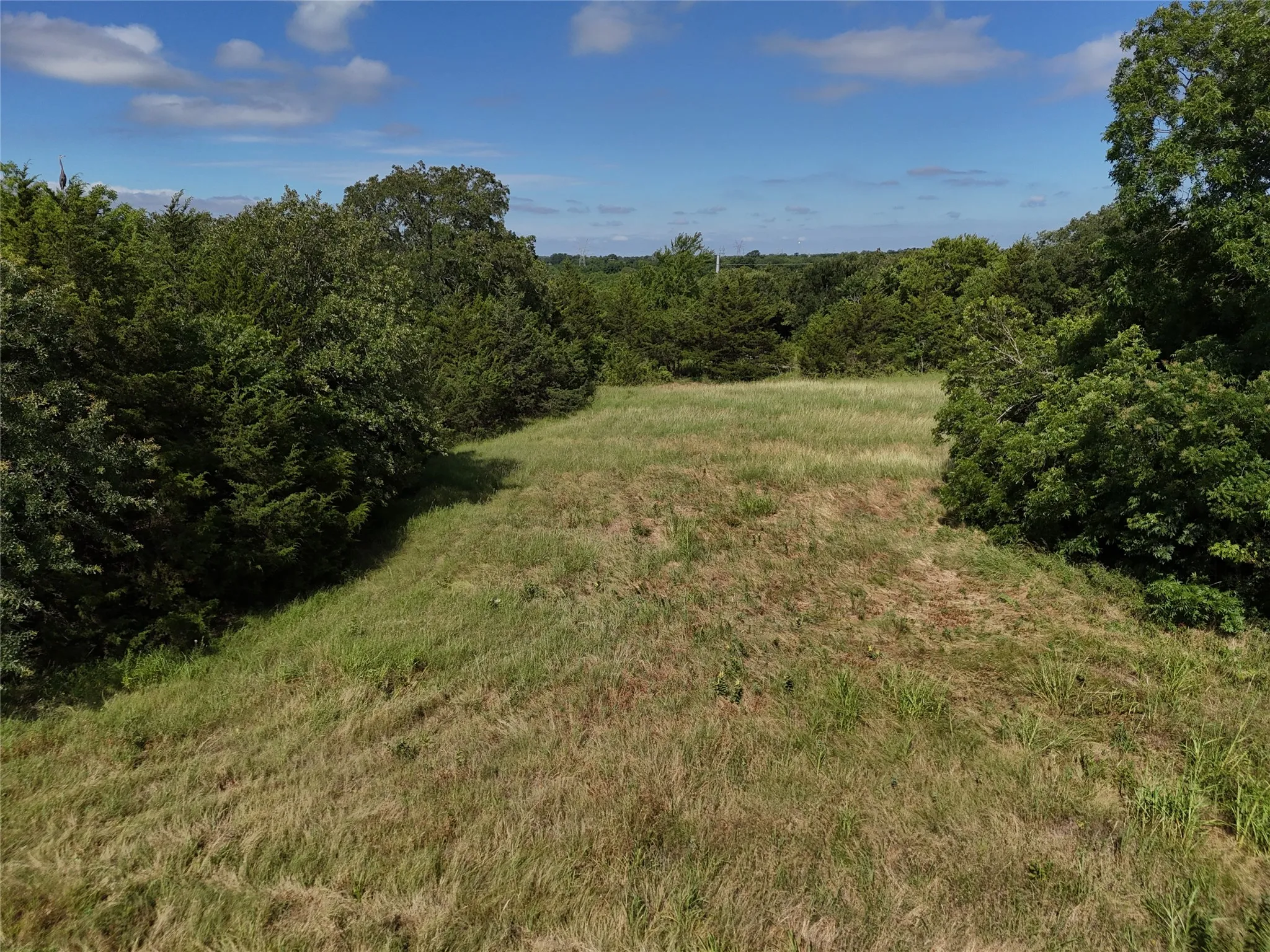 Unimproved Land For Sale in Fannin County , 1700 CR 2770, Honey Grove, Texas 75446, 0, 0, Garage spaces, 0 Sqft, built in 0, Price $297,500, mls#21165941, Real Estate Agent in Honey Grove, Homes For Sale in Fannin county, Homes For Sale in Honey Grove, Realtor in Honey Grove Texas, Real Estate Brokerage Independent Realty Texas, Luminita Cordes Realtor