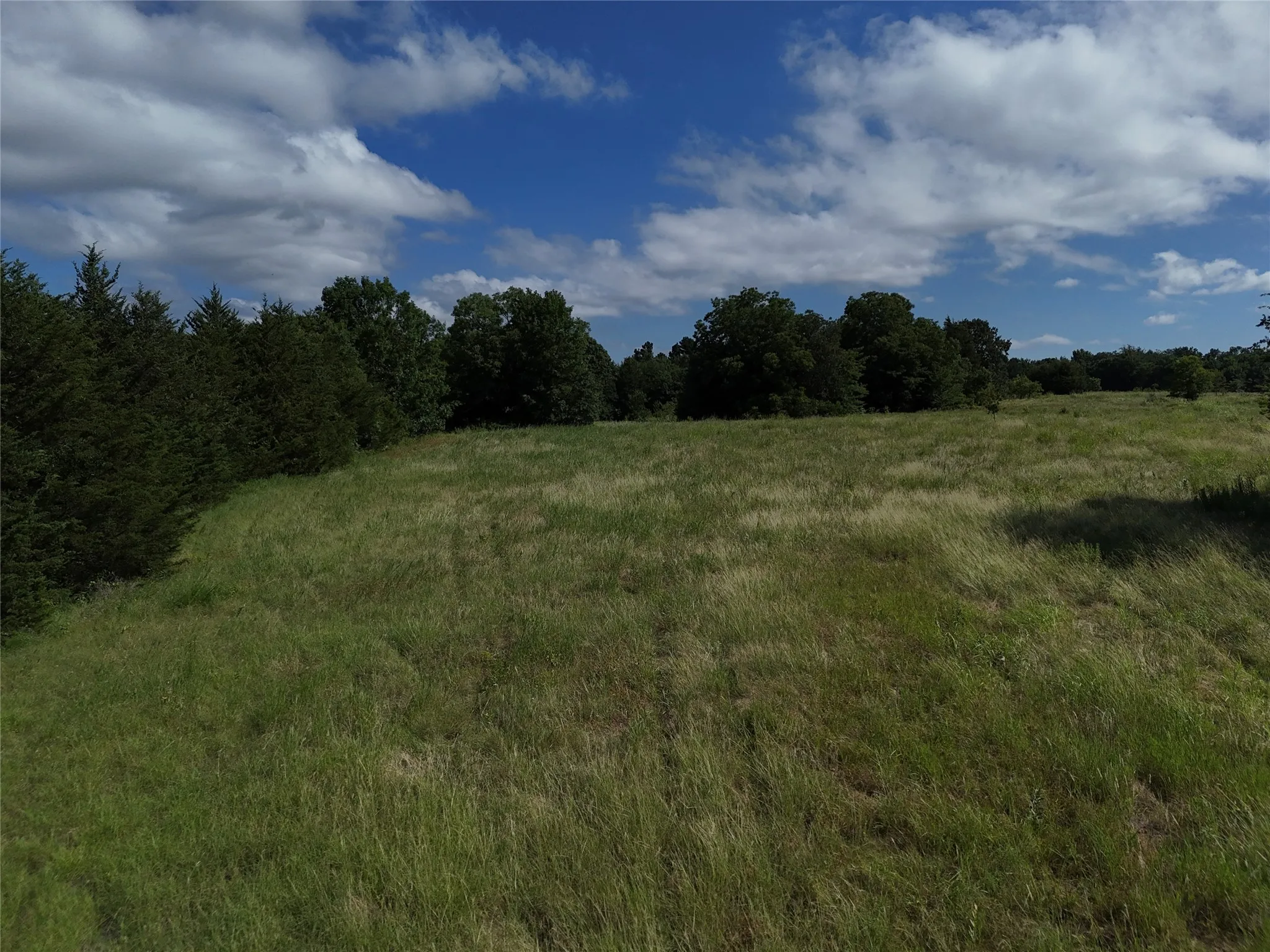 Unimproved Land For Sale in Fannin County , 1700 CR 2770, Honey Grove, Texas 75446, 0, 0, Garage spaces, 0 Sqft, built in 0, Price $297,500, mls#21165941, Real Estate Agent in Honey Grove, Homes For Sale in Fannin county, Homes For Sale in Honey Grove, Realtor in Honey Grove Texas, Real Estate Brokerage Independent Realty Texas, Luminita Cordes Realtor
