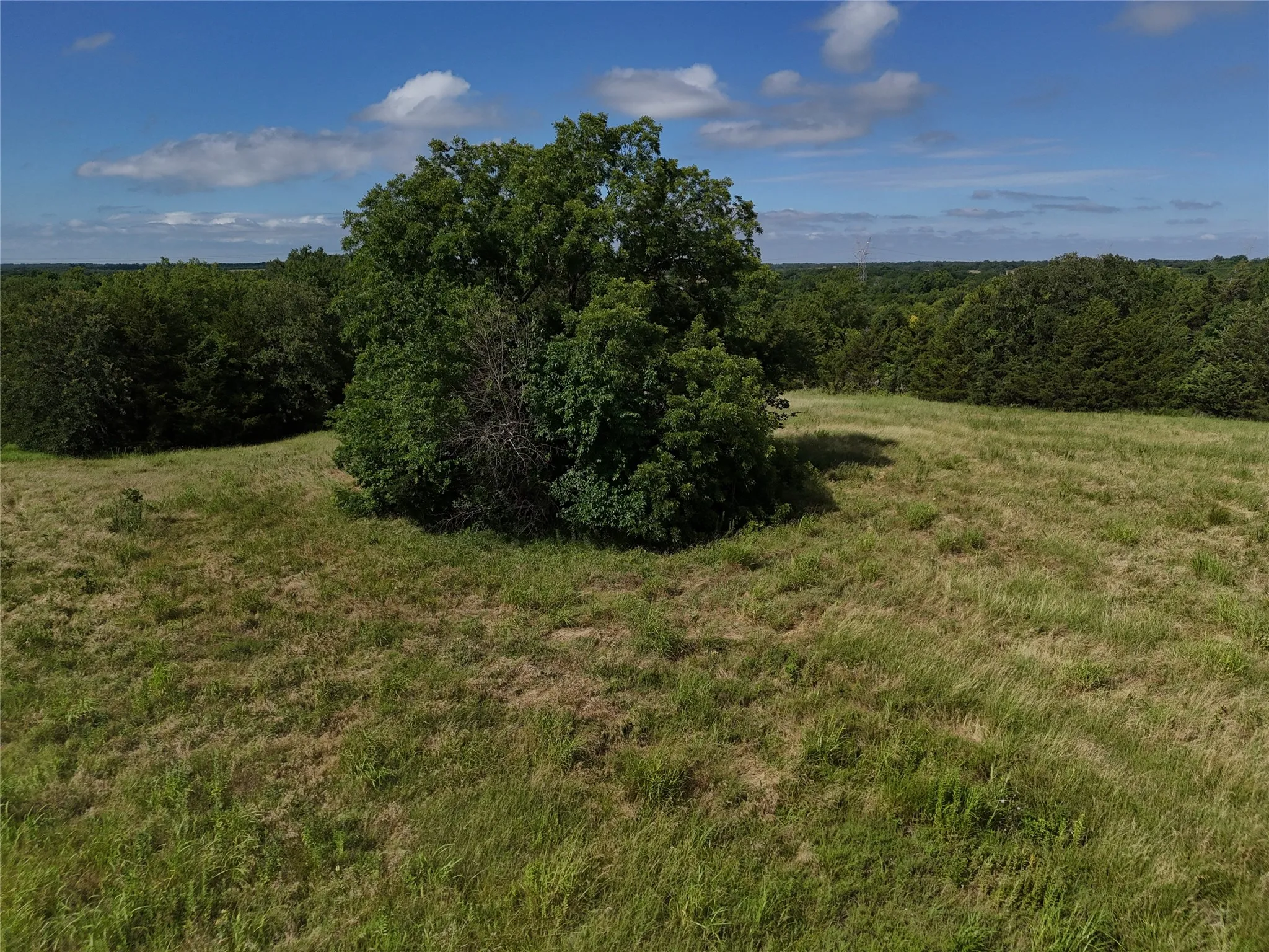 Unimproved Land For Sale in Fannin County , 1700 CR 2770, Honey Grove, Texas 75446, 0, 0, Garage spaces, 0 Sqft, built in 0, Price $297,500, mls#21165941, Real Estate Agent in Honey Grove, Homes For Sale in Fannin county, Homes For Sale in Honey Grove, Realtor in Honey Grove Texas, Real Estate Brokerage Independent Realty Texas, Luminita Cordes Realtor