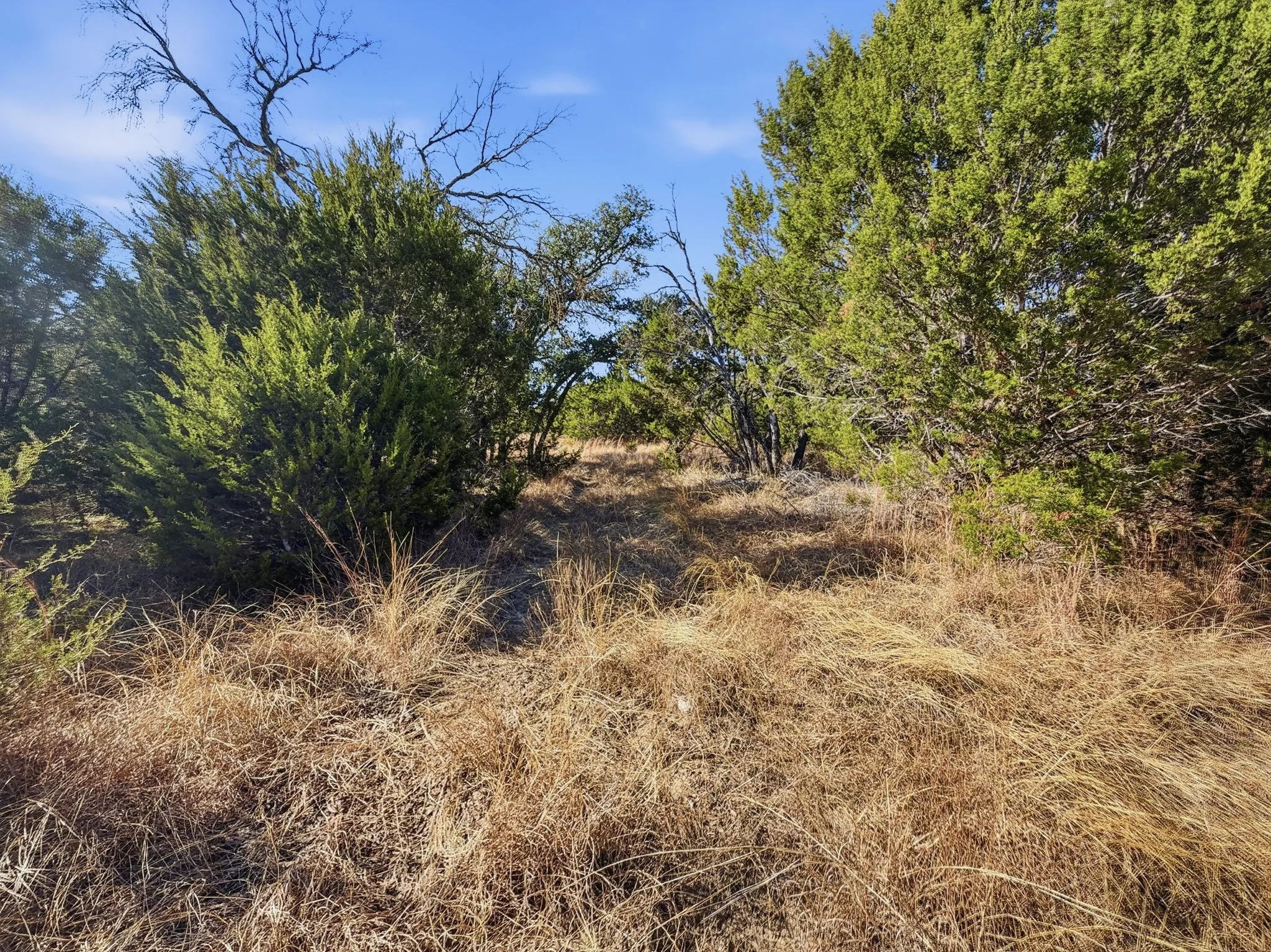 Ranch For Sale in Hamilton County , TBD CR 424, Hamilton, Texas 76531, 0, 0, Garage spaces, 0 Sqft, built in 0, Price $725,000, mls#21165950, Real Estate Agent in Hamilton, Homes For Sale in Hamilton county, Homes For Sale in Hamilton, Realtor in Hamilton Texas, Real Estate Brokerage Independent Realty Texas, Luminita Cordes Realtor