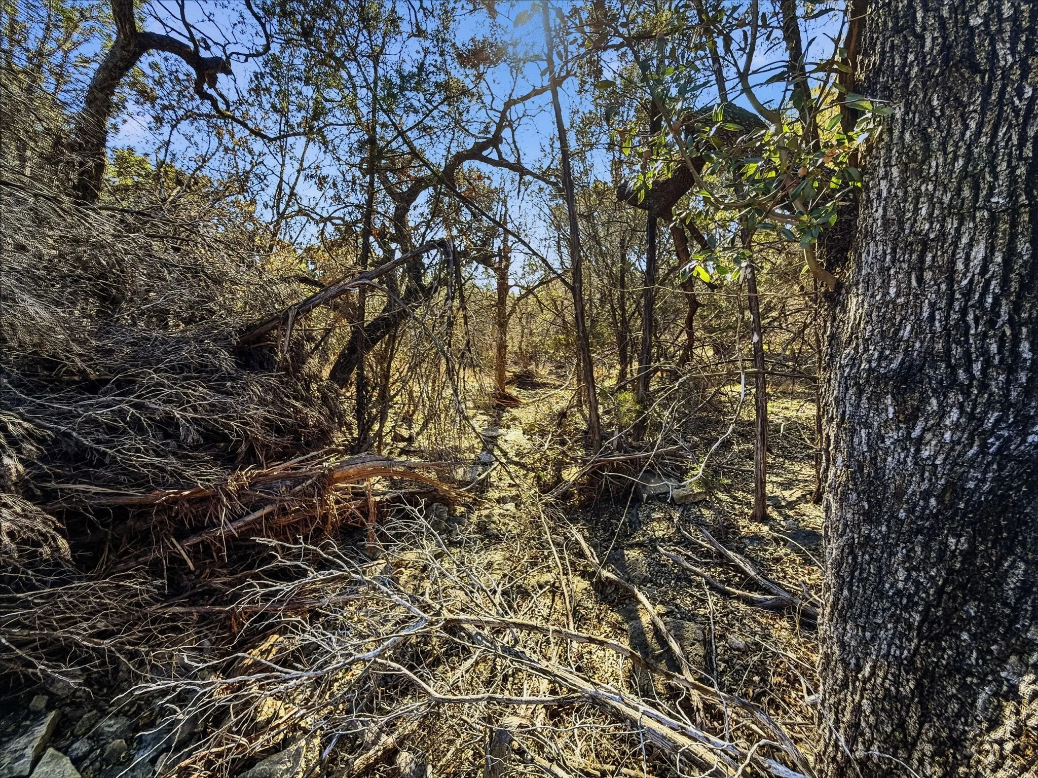 Ranch For Sale in Hamilton County , TBD CR 424, Hamilton, Texas 76531, 0, 0, Garage spaces, 0 Sqft, built in 0, Price $725,000, mls#21165950, Real Estate Agent in Hamilton, Homes For Sale in Hamilton county, Homes For Sale in Hamilton, Realtor in Hamilton Texas, Real Estate Brokerage Independent Realty Texas, Luminita Cordes Realtor