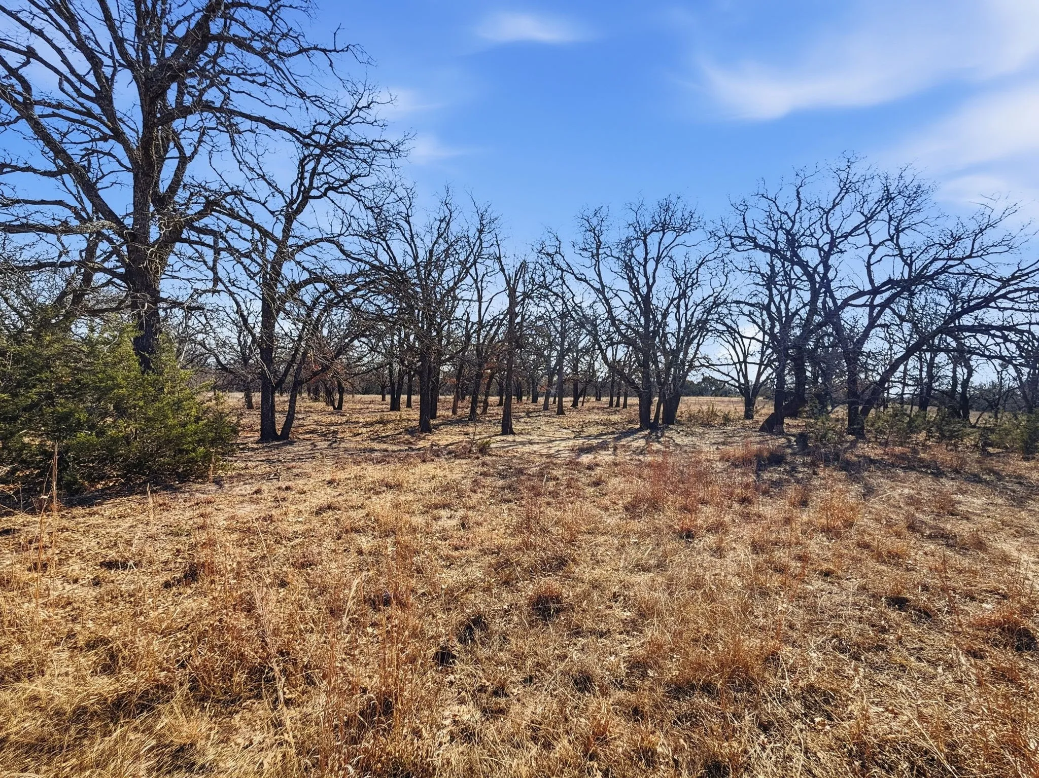 Ranch For Sale in Hamilton County , TBD CR 424, Hamilton, Texas 76531, 0, 0, Garage spaces, 0 Sqft, built in 0, Price $725,000, mls#21165950, Real Estate Agent in Hamilton, Homes For Sale in Hamilton county, Homes For Sale in Hamilton, Realtor in Hamilton Texas, Real Estate Brokerage Independent Realty Texas, Luminita Cordes Realtor