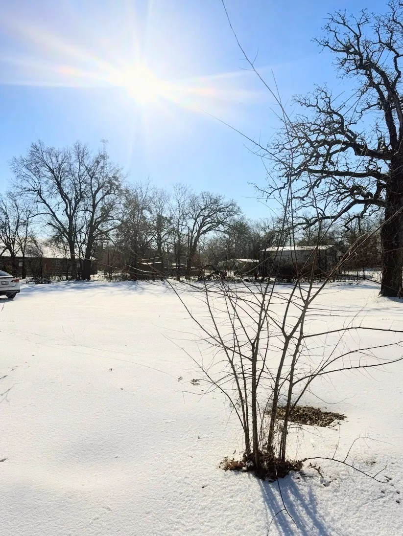 View of yard layered in snow