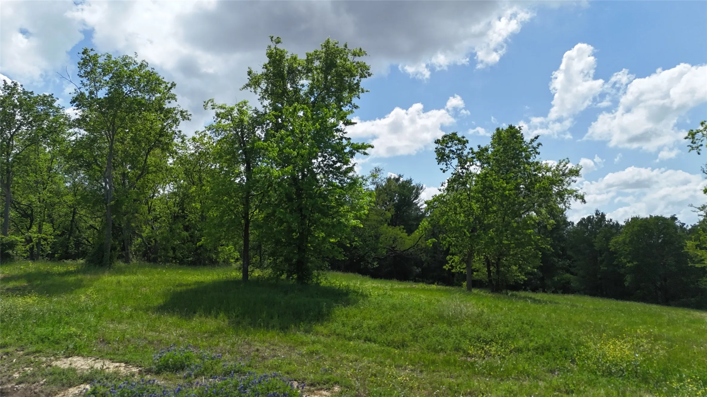 Unimproved Land For Sale in Navarro County , Lot 14 Opal Drive & BS#4, Corsicana, Texas 75109, 0, 0, Garage spaces, 0 Sqft, built in 0, mls#21158826, Real Estate Agent in Corsicana, Homes For Sale in Navarro county, Homes For Sale in Corsicana, Realtor in Corsicana Texas, Real Estate Brokerage Independent Realty Texas, Luminita Cordes Realtor