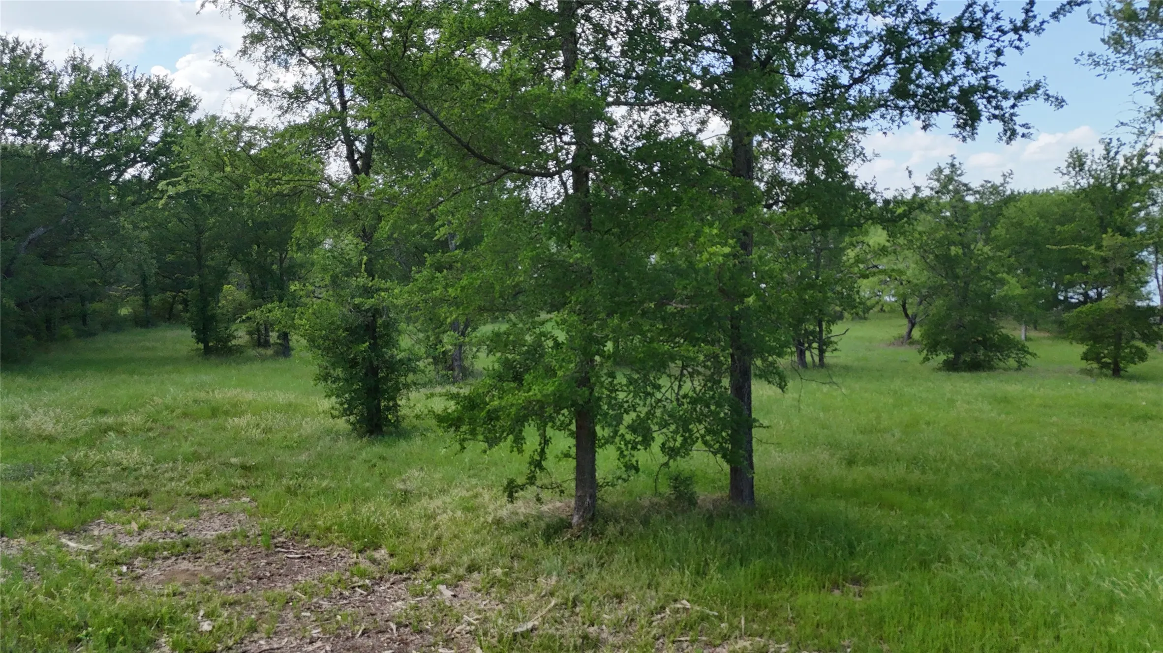 Unimproved Land For Sale in Navarro County , Lot 14 Opal Drive & BS#4, Corsicana, Texas 75109, 0, 0, Garage spaces, 0 Sqft, built in 0, mls#21158826, Real Estate Agent in Corsicana, Homes For Sale in Navarro county, Homes For Sale in Corsicana, Realtor in Corsicana Texas, Real Estate Brokerage Independent Realty Texas, Luminita Cordes Realtor