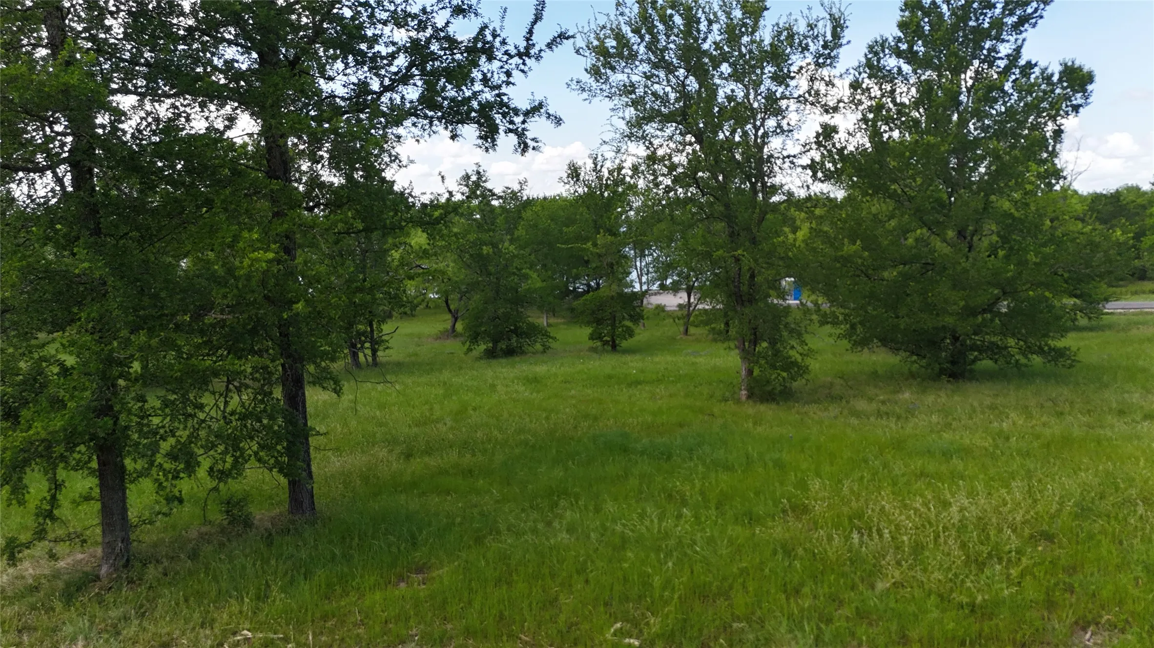 Unimproved Land For Sale in Navarro County , Lot 14 Opal Drive & BS#4, Corsicana, Texas 75109, 0, 0, Garage spaces, 0 Sqft, built in 0, mls#21158826, Real Estate Agent in Corsicana, Homes For Sale in Navarro county, Homes For Sale in Corsicana, Realtor in Corsicana Texas, Real Estate Brokerage Independent Realty Texas, Luminita Cordes Realtor