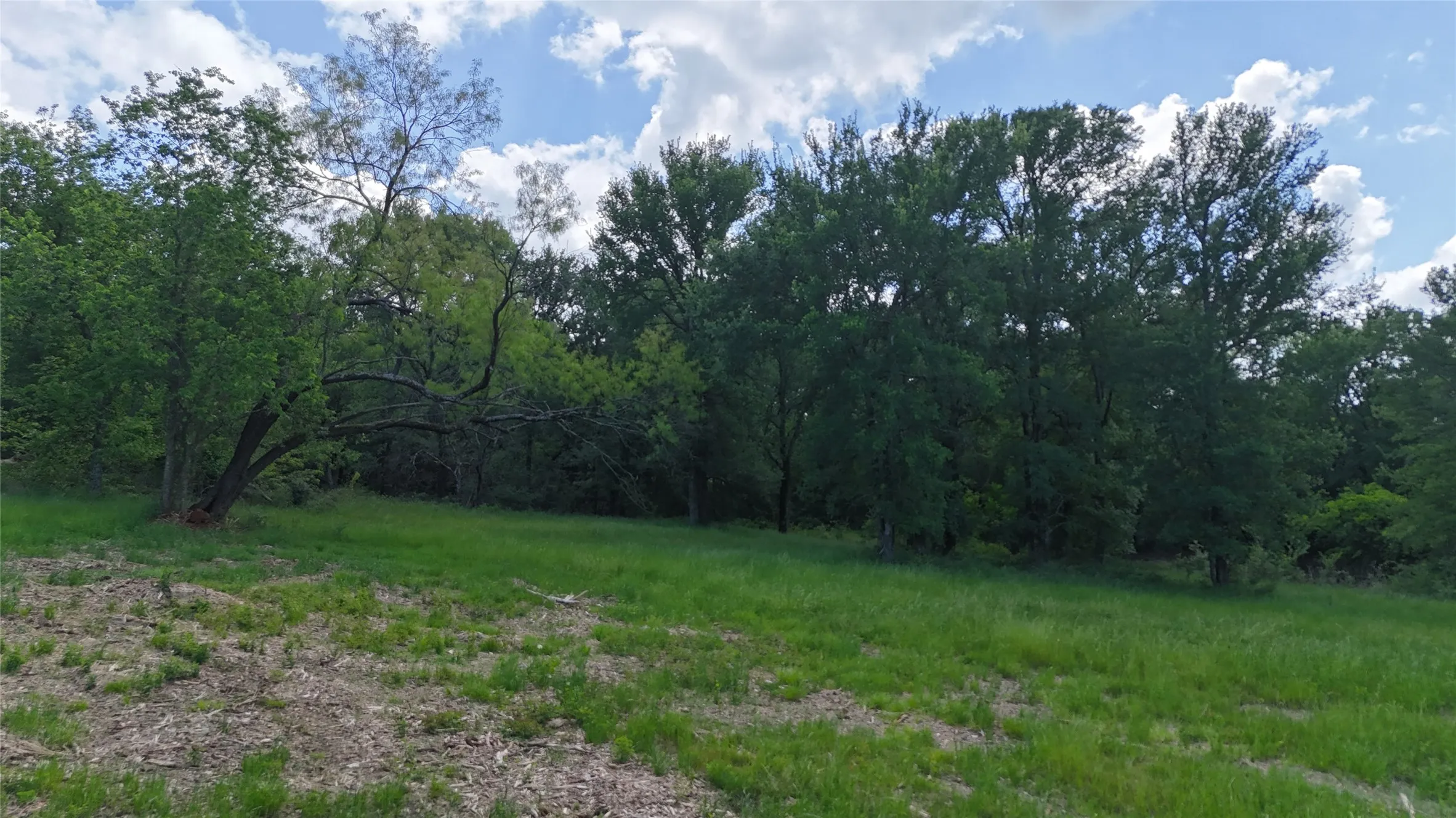 Unimproved Land For Sale in Navarro County , Lot 14 Opal Drive & BS#4, Corsicana, Texas 75109, 0, 0, Garage spaces, 0 Sqft, built in 0, mls#21158826, Real Estate Agent in Corsicana, Homes For Sale in Navarro county, Homes For Sale in Corsicana, Realtor in Corsicana Texas, Real Estate Brokerage Independent Realty Texas, Luminita Cordes Realtor