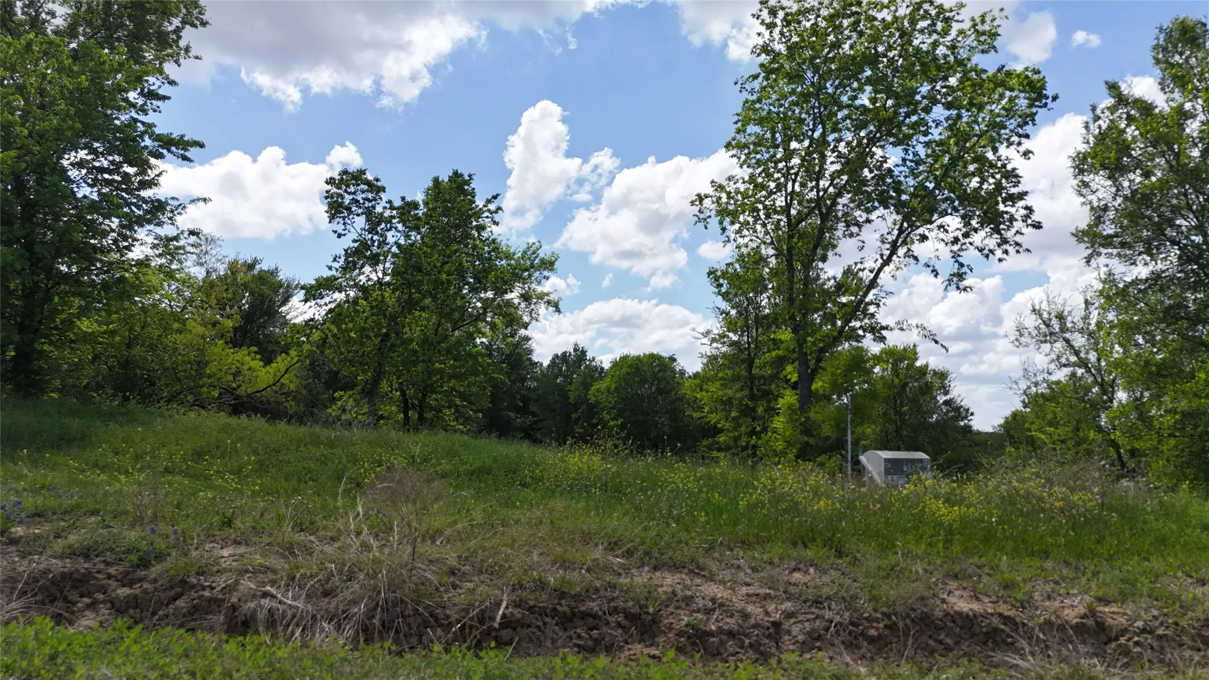Unimproved Land For Sale in Navarro County , Lot 14 Opal Drive & BS#4, Corsicana, Texas 75109, 0, 0, Garage spaces, 0 Sqft, built in 0, mls#21158826, Real Estate Agent in Corsicana, Homes For Sale in Navarro county, Homes For Sale in Corsicana, Realtor in Corsicana Texas, Real Estate Brokerage Independent Realty Texas, Luminita Cordes Realtor