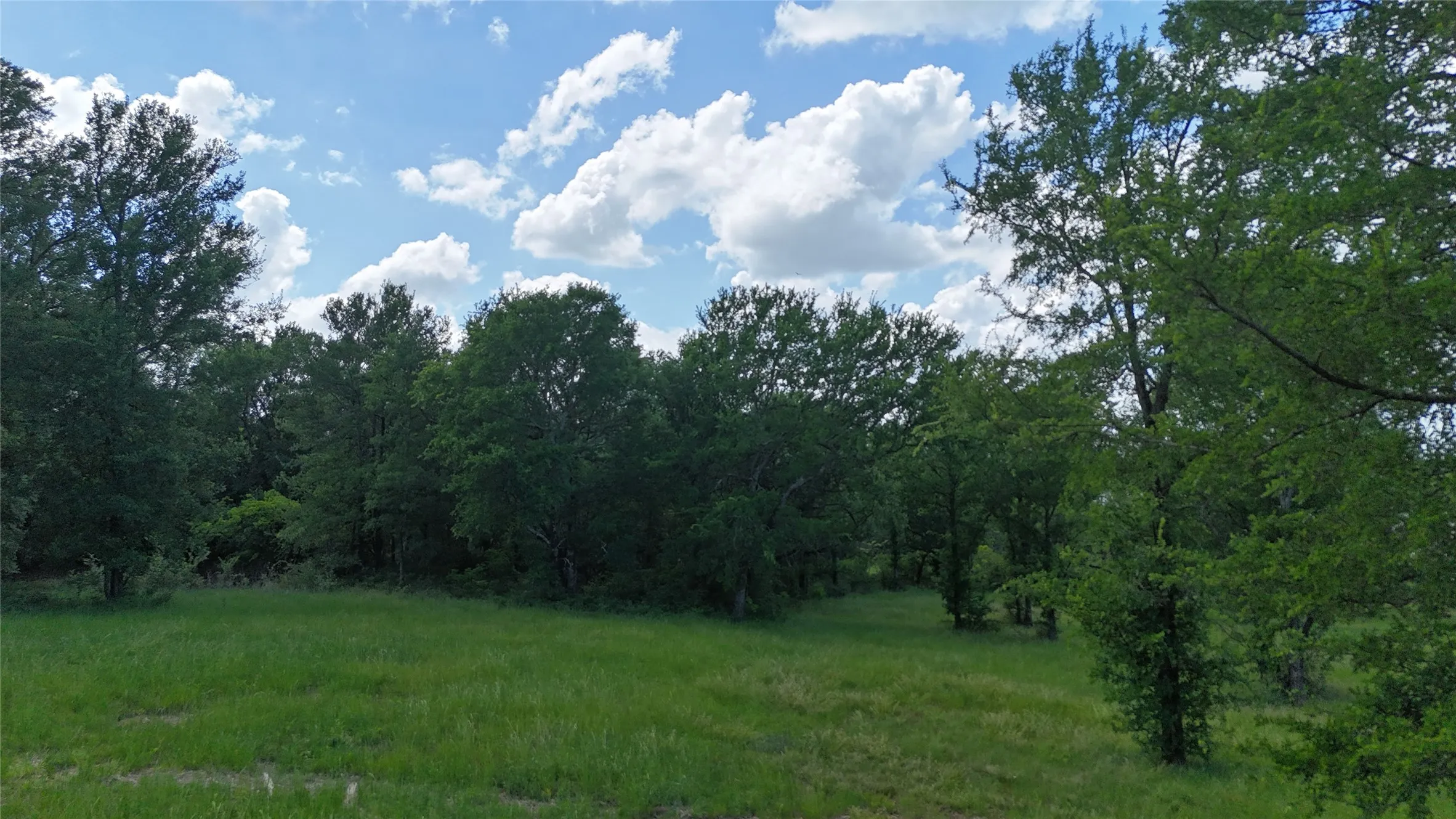 Unimproved Land For Sale in Navarro County , Lot 14 Opal Drive & BS#4, Corsicana, Texas 75109, 0, 0, Garage spaces, 0 Sqft, built in 0, mls#21158826, Real Estate Agent in Corsicana, Homes For Sale in Navarro county, Homes For Sale in Corsicana, Realtor in Corsicana Texas, Real Estate Brokerage Independent Realty Texas, Luminita Cordes Realtor
