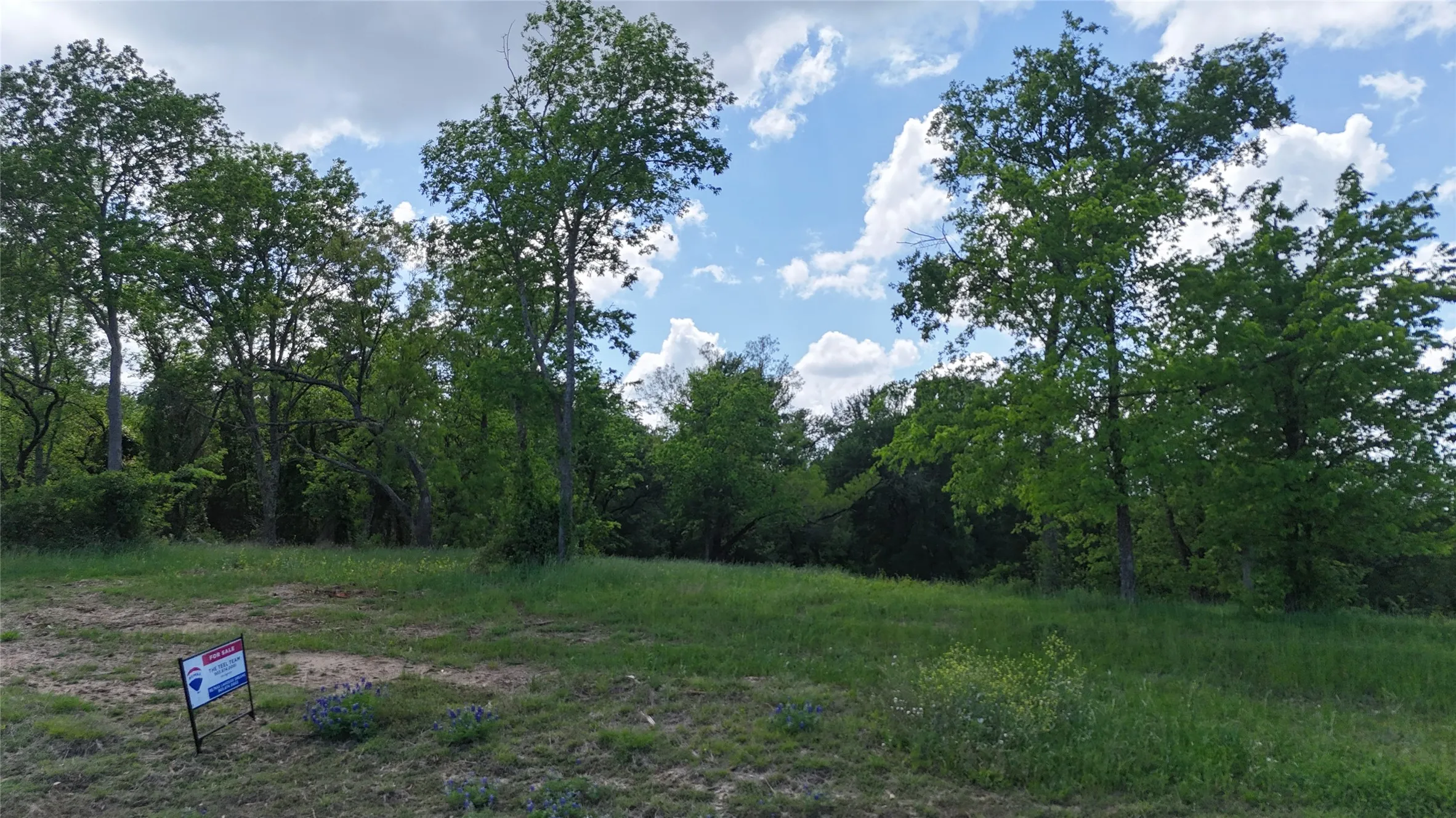 Unimproved Land For Sale in Navarro County , Lot 14 Opal Drive & BS#4, Corsicana, Texas 75109, 0, 0, Garage spaces, 0 Sqft, built in 0, mls#21158826, Real Estate Agent in Corsicana, Homes For Sale in Navarro county, Homes For Sale in Corsicana, Realtor in Corsicana Texas, Real Estate Brokerage Independent Realty Texas, Luminita Cordes Realtor