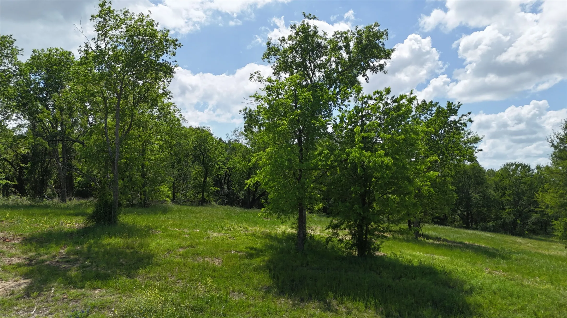 Unimproved Land For Sale in Navarro County , Lot 14 Opal Drive & BS#4, Corsicana, Texas 75109, 0, 0, Garage spaces, 0 Sqft, built in 0, mls#21158826, Real Estate Agent in Corsicana, Homes For Sale in Navarro county, Homes For Sale in Corsicana, Realtor in Corsicana Texas, Real Estate Brokerage Independent Realty Texas, Luminita Cordes Realtor