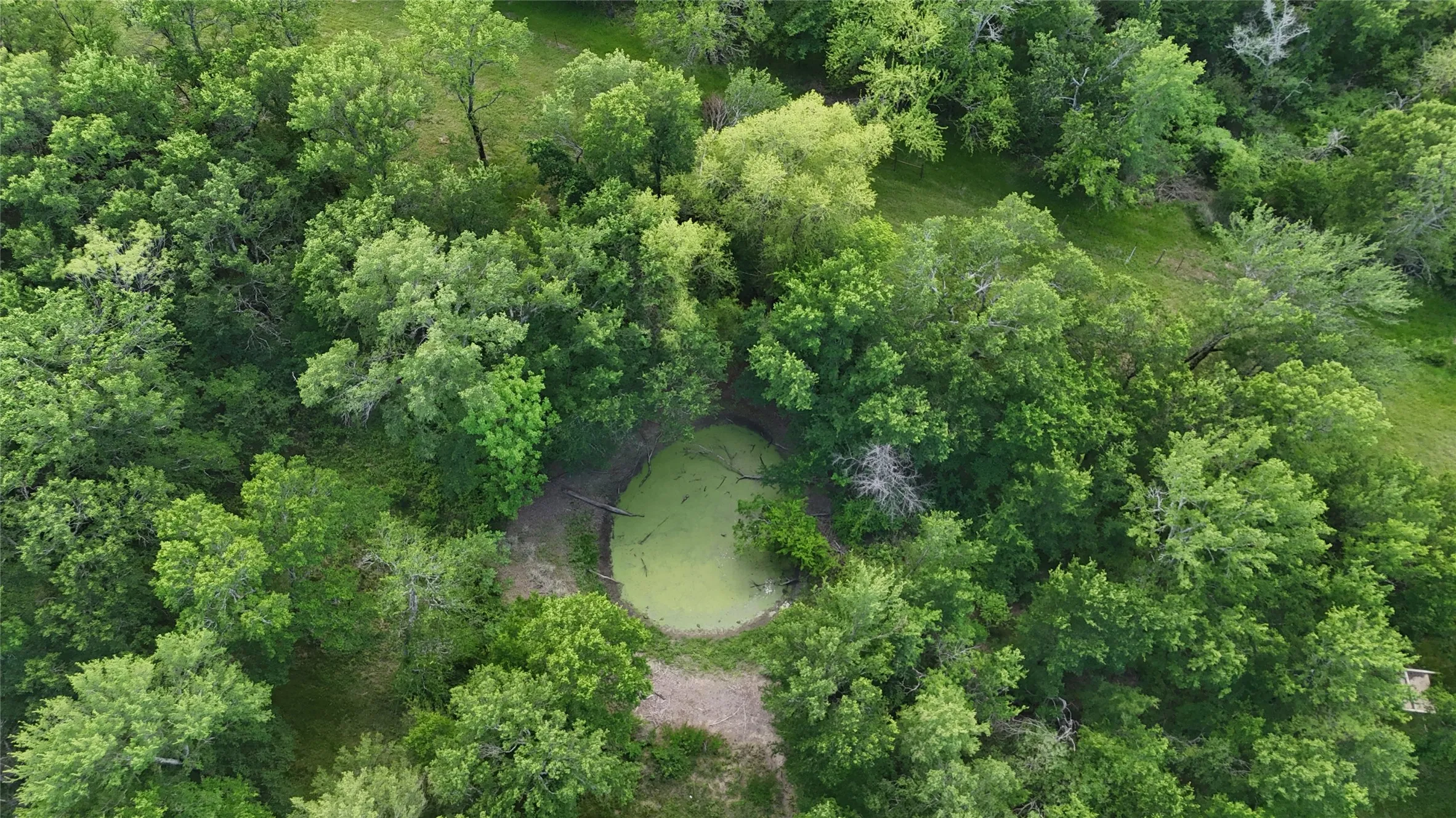 Unimproved Land For Sale in Navarro County , Lot 14 Opal Drive & BS#4, Corsicana, Texas 75109, 0, 0, Garage spaces, 0 Sqft, built in 0, mls#21158826, Real Estate Agent in Corsicana, Homes For Sale in Navarro county, Homes For Sale in Corsicana, Realtor in Corsicana Texas, Real Estate Brokerage Independent Realty Texas, Luminita Cordes Realtor
